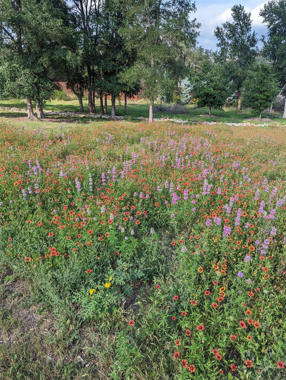 9720 Anchusa Trl, Austin, TX 78736