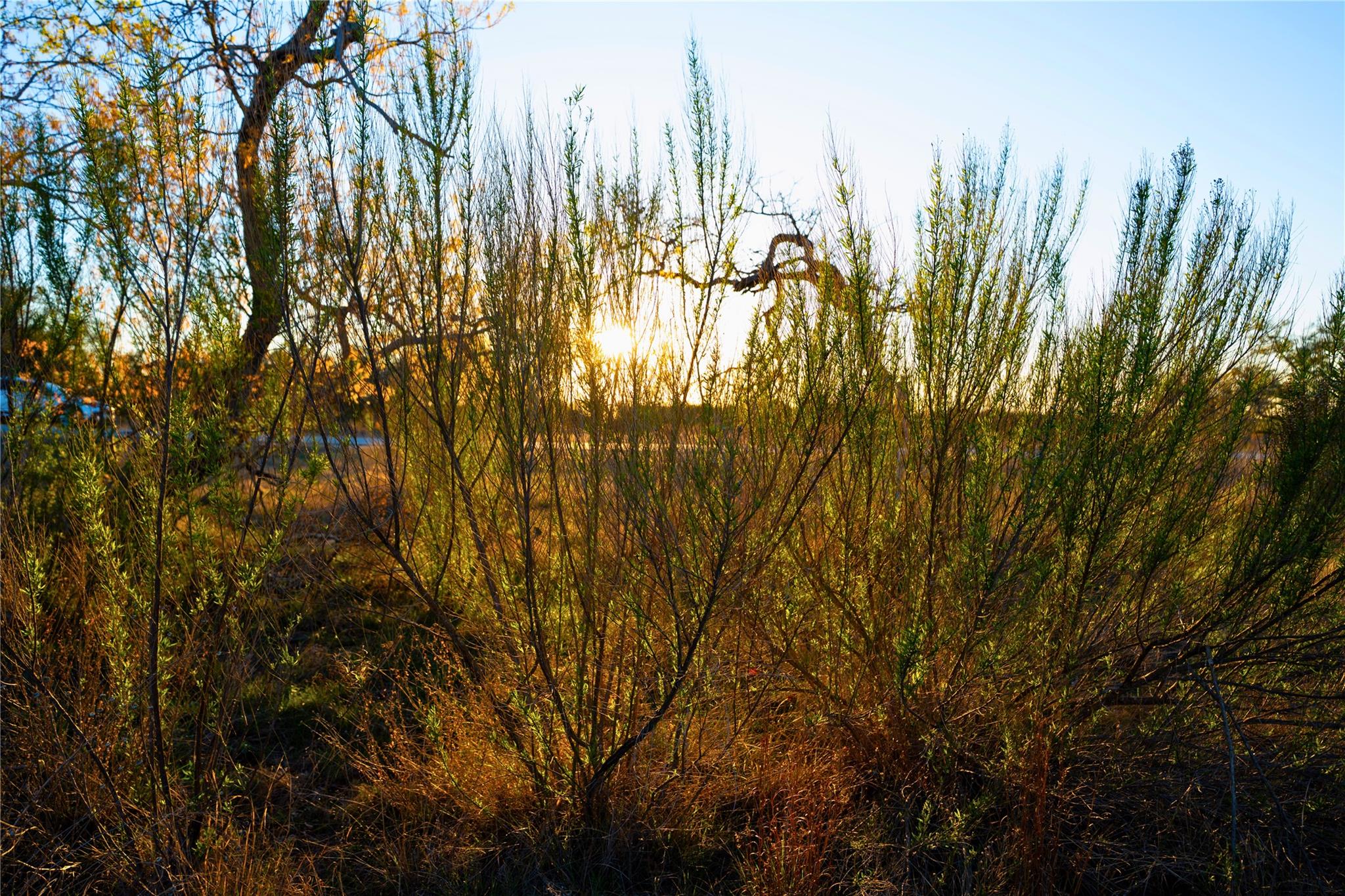 Lot 180 Lookout Mountain Rd, Johnson City, TX 78636