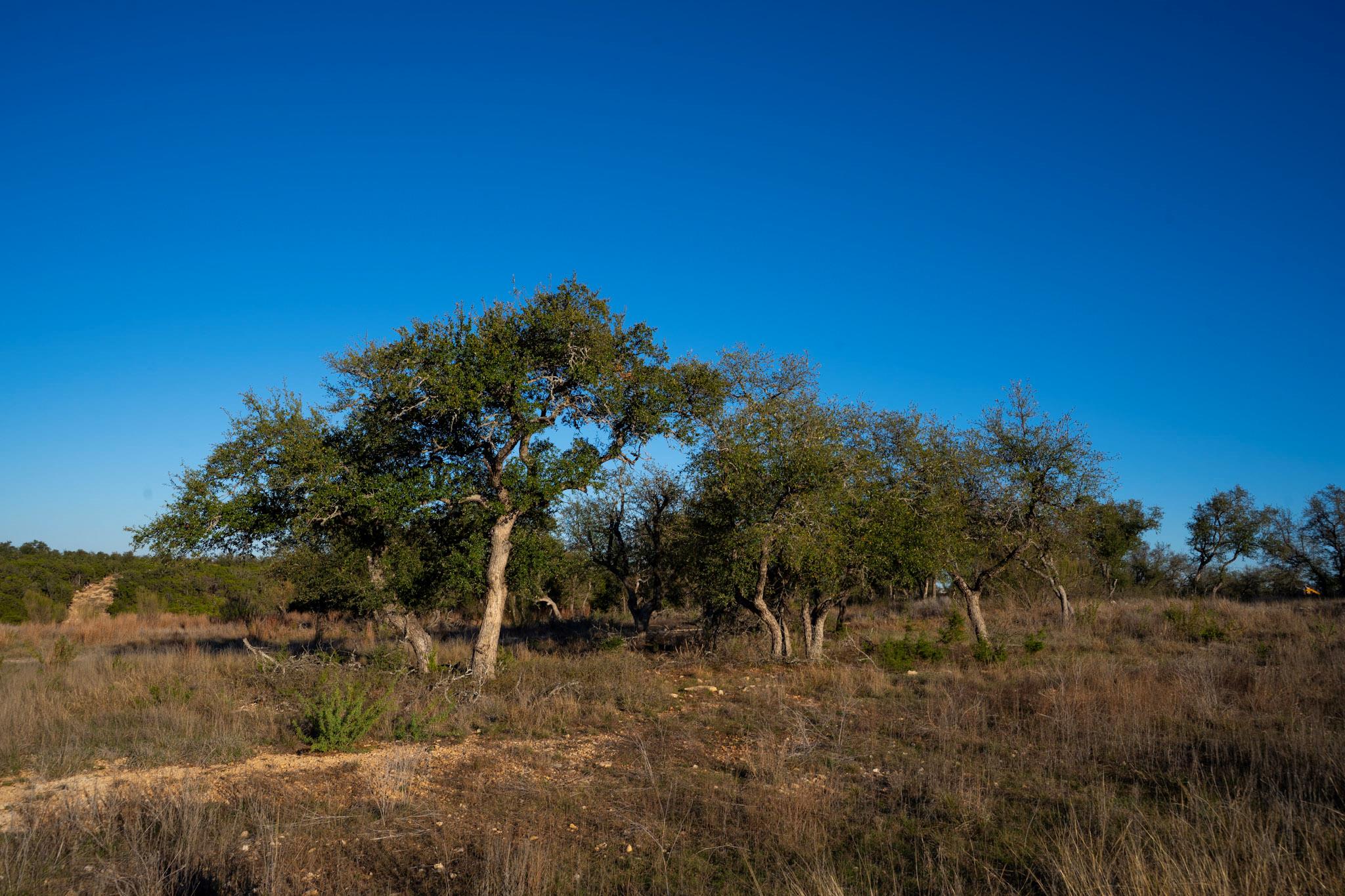 Lot 180 Lookout Mountain Rd, Johnson City, TX 78636