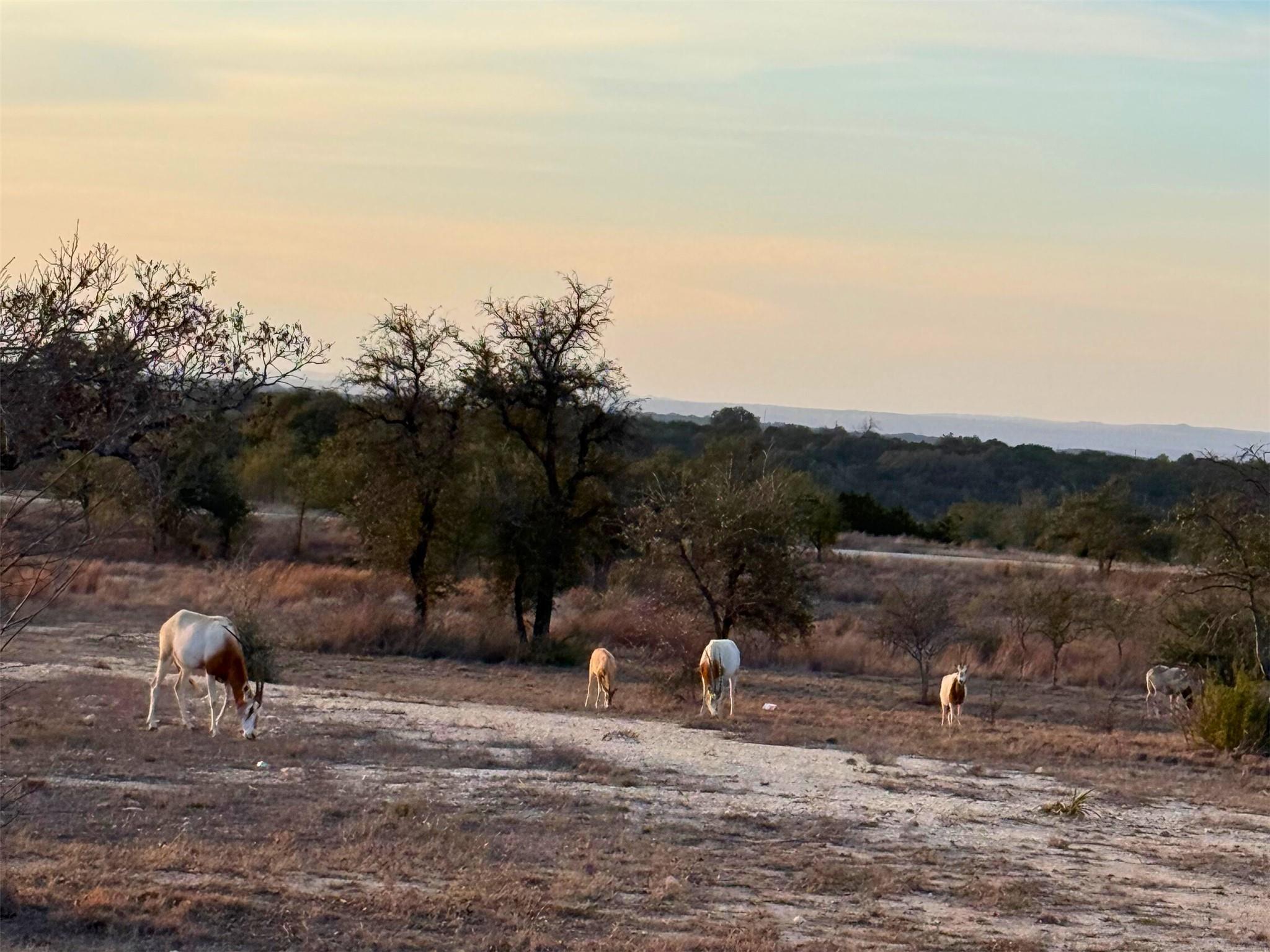 Lot 180 Lookout Mountain Rd, Johnson City, TX 78636