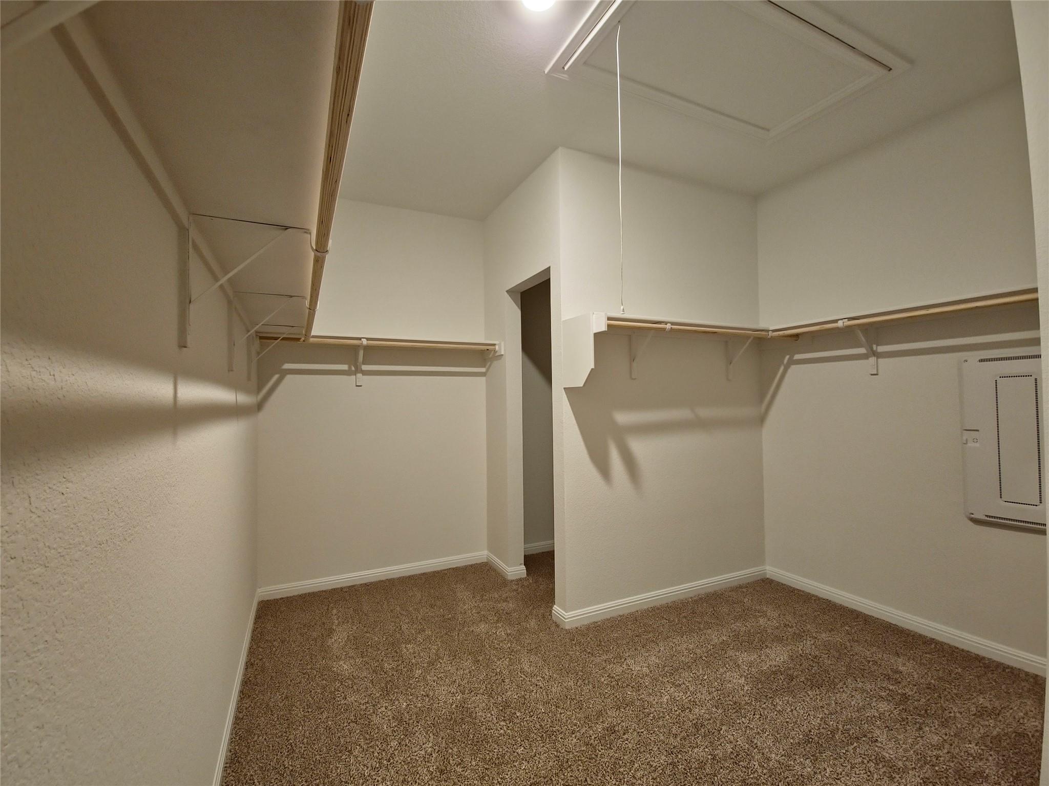 2313 March Hare Trce, Leander, TX 78641