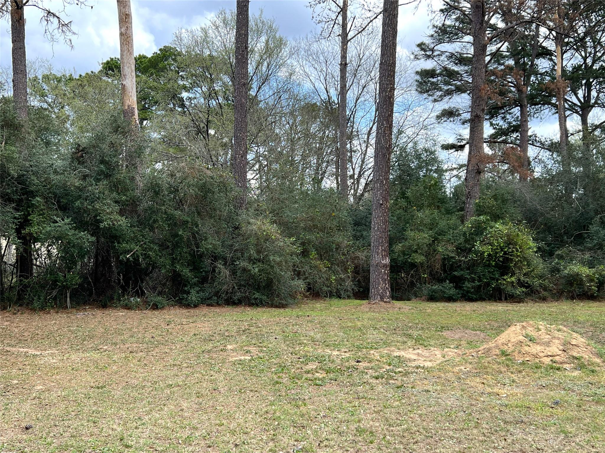 123 Pine Song, Bastrop, TX 78602