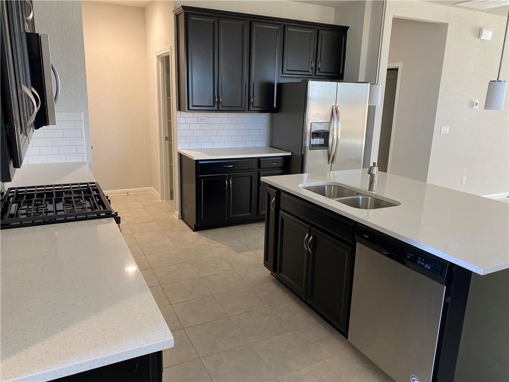 384 Gaida Loop, Georgetown, TX 78628