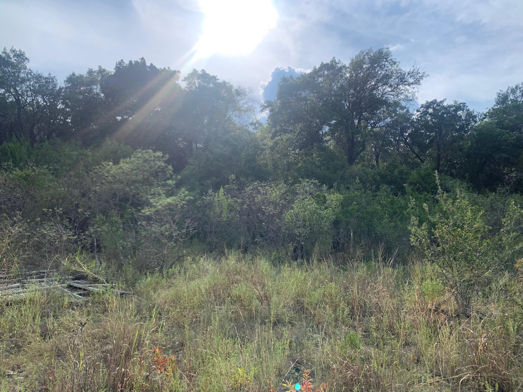 17140 Northlake Hills Dr, Jonestown, TX 78645