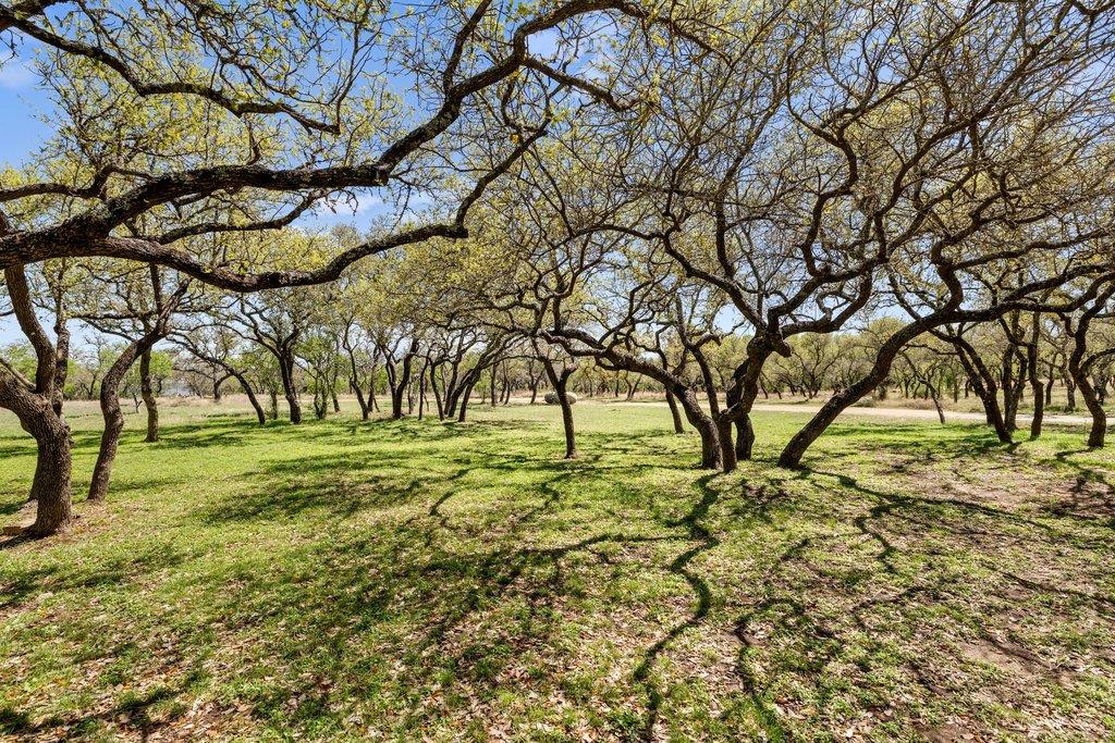 434 W Turner Ct, Johnson City, TX 78636