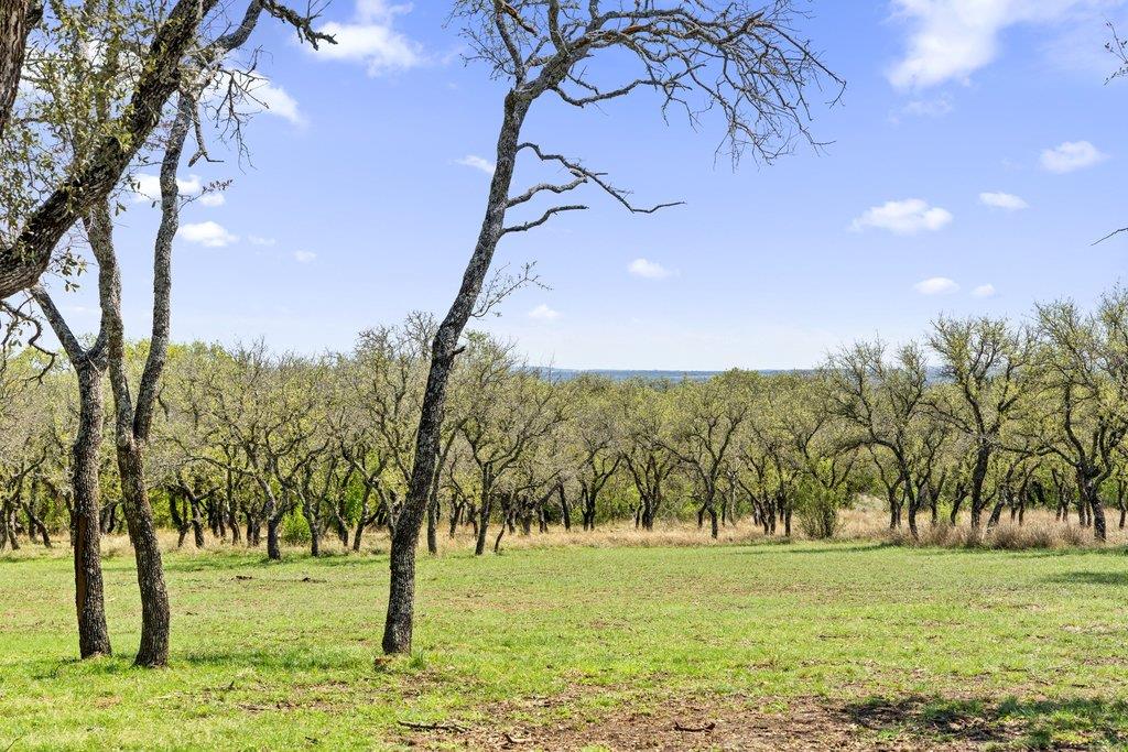 434 W Turner Ct, Johnson City, TX 78636