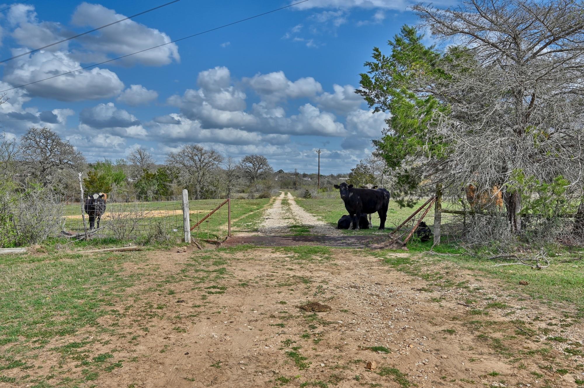 TBD FM 2440, Giddings, TX 78942