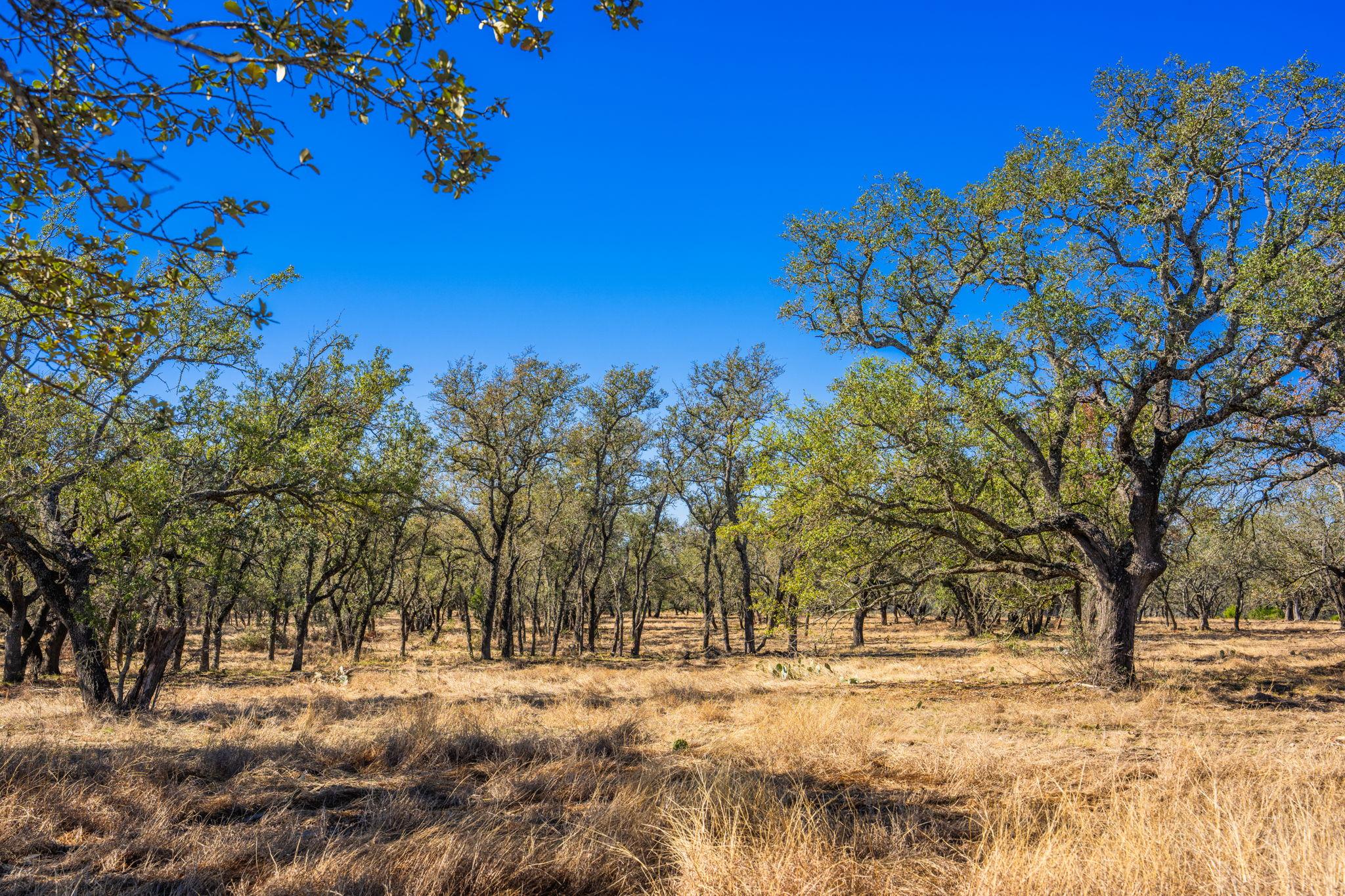 4772-1 County Road 340, Burnet, TX 76905