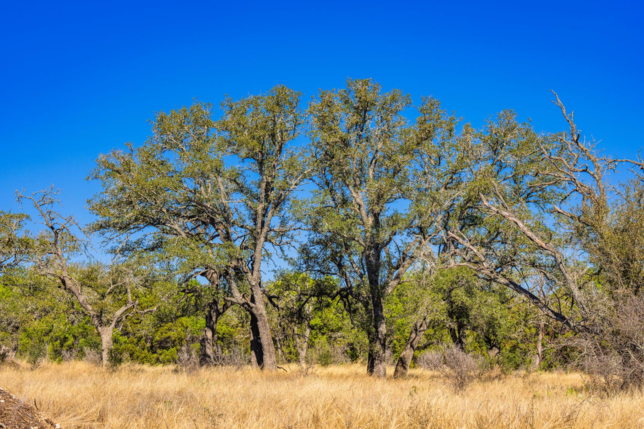 4772-1 County Road 340, Burnet, TX 76905