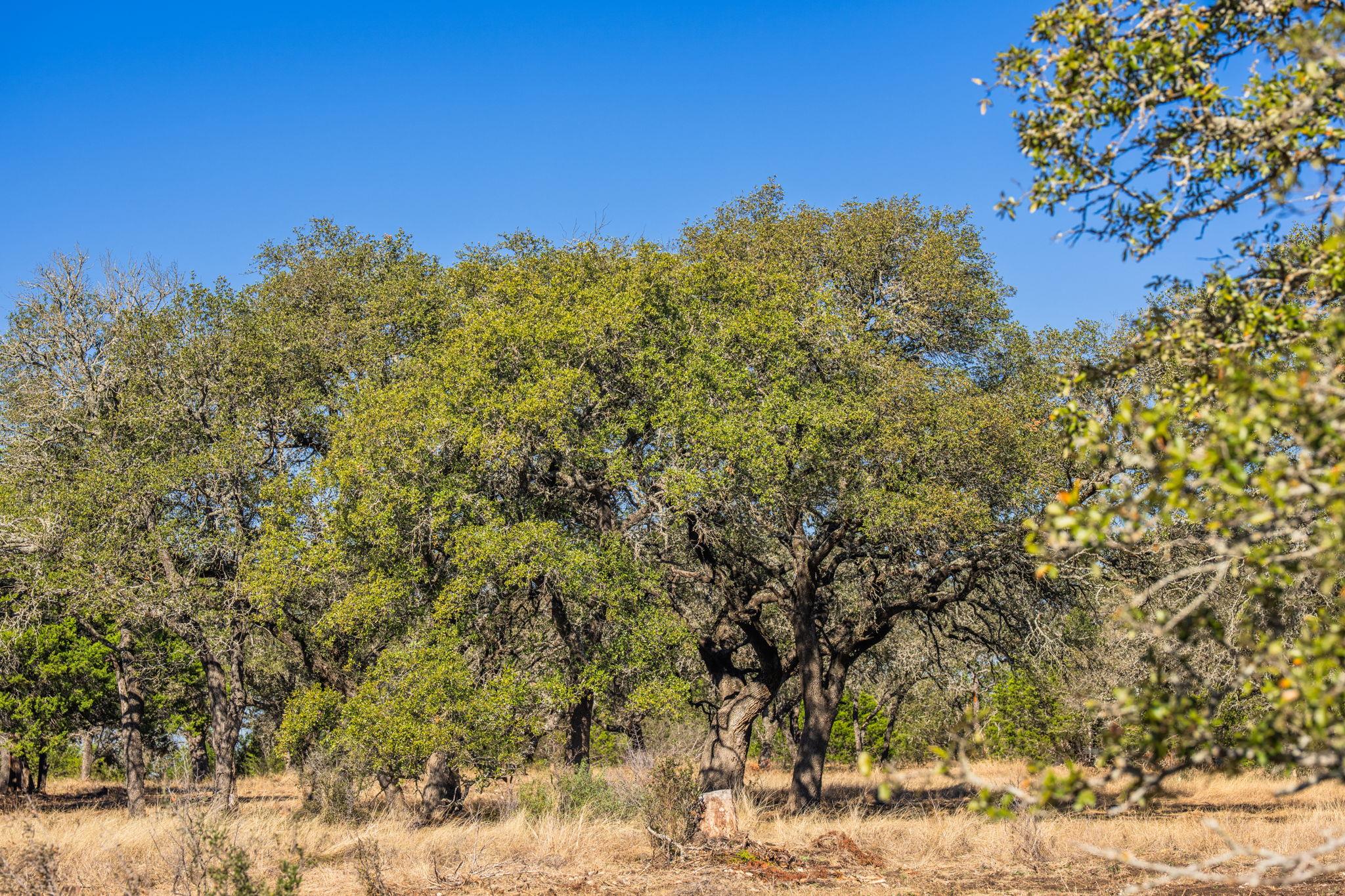 4772-1 County Road 340, Burnet, TX 76905