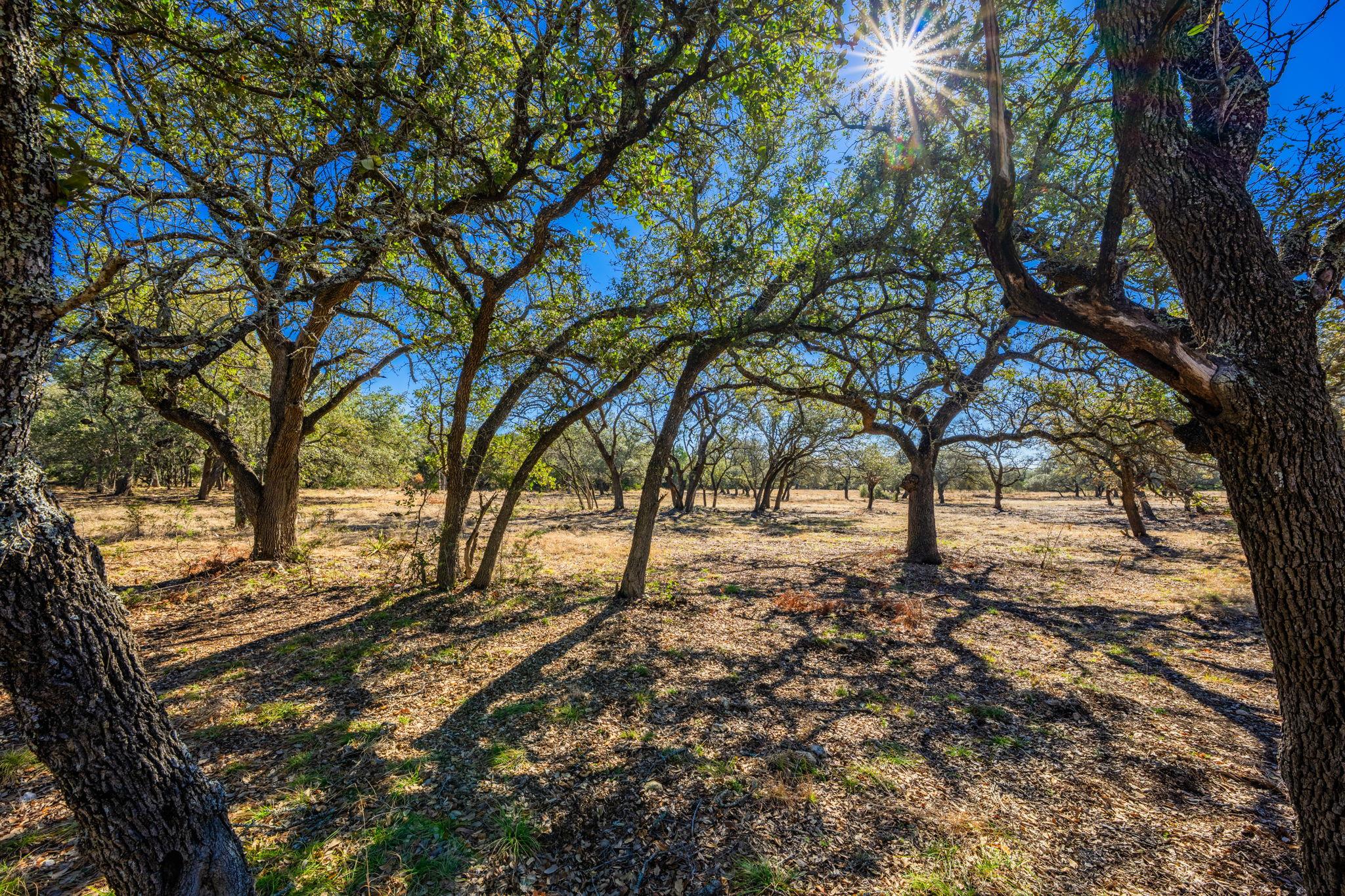 4772-1 County Road 340, Burnet, TX 76905