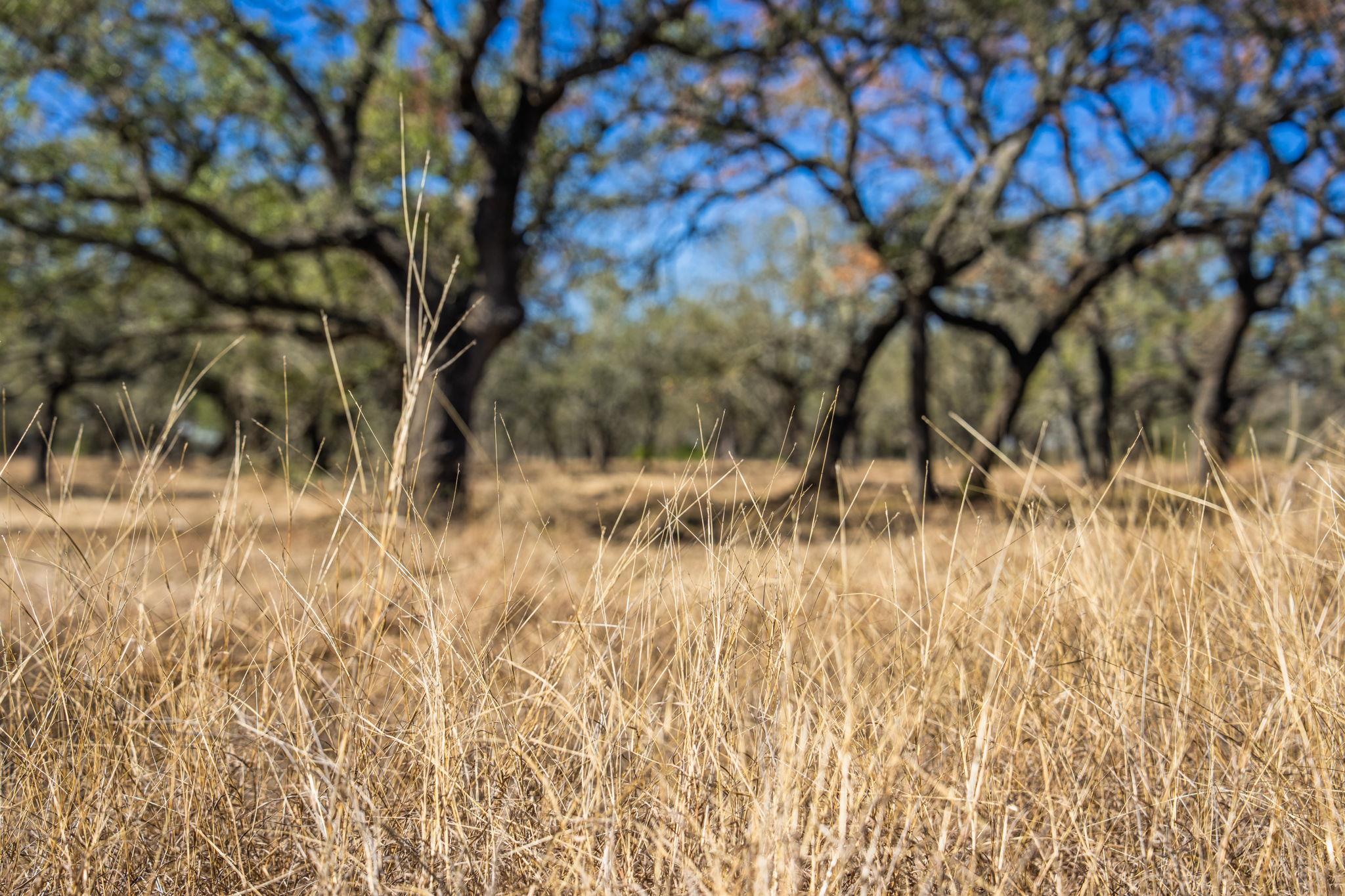 4772-1 County Road 340, Burnet, TX 76905