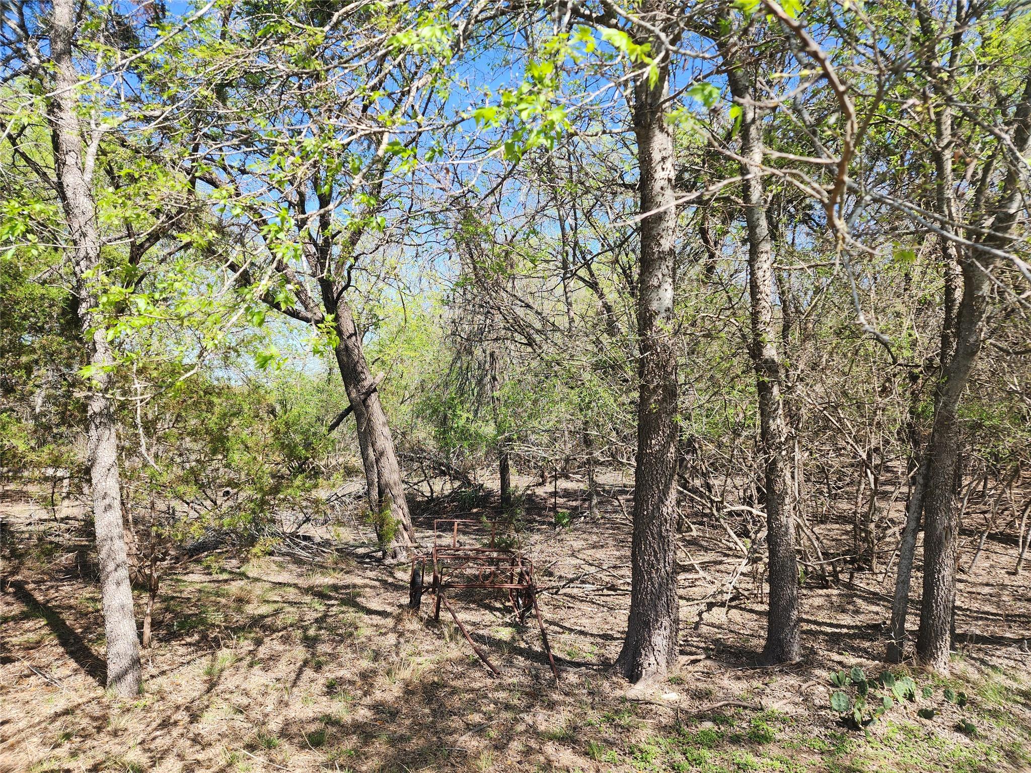 200 Little Barton Dr, Dripping Springs, TX 78620