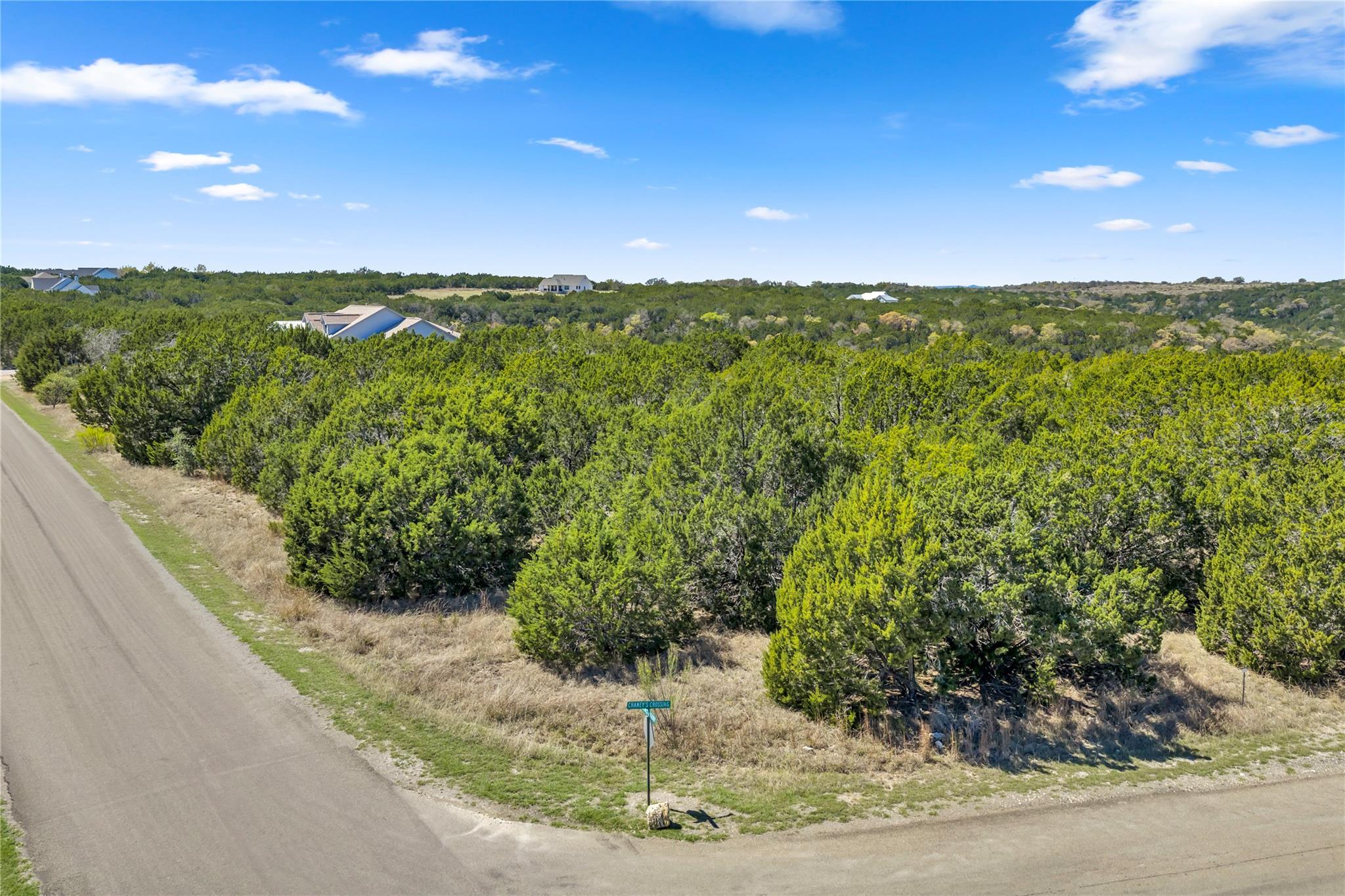 358 Balcones Ridgeway Way, Bertram, TX 78605