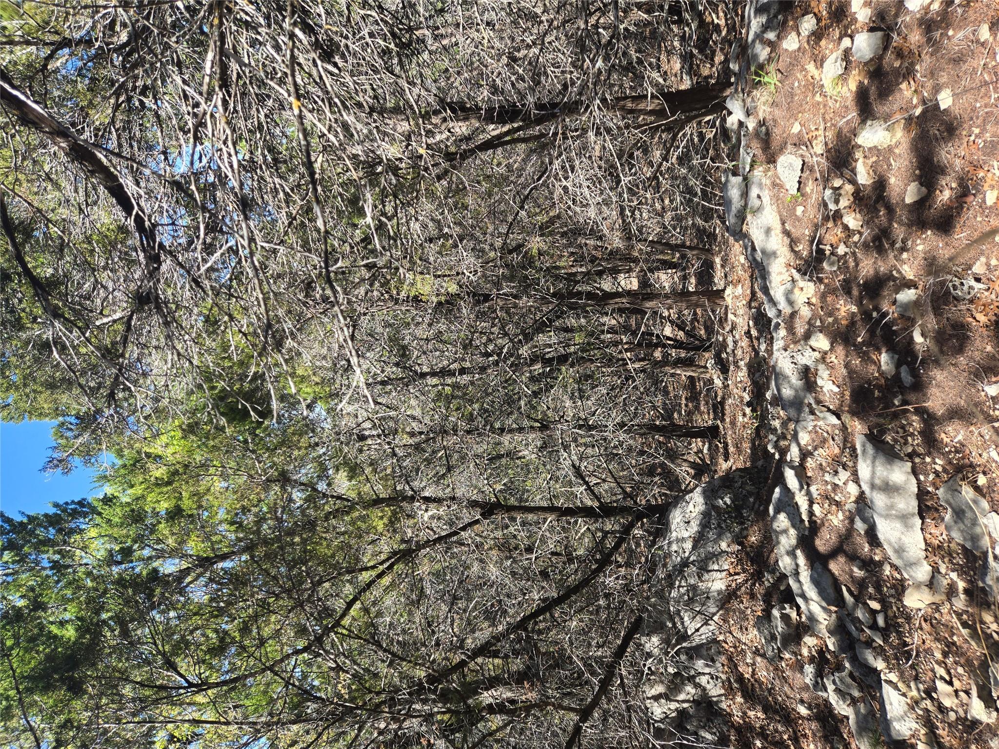 358 Balcones Ridgeway Way, Bertram, TX 78605