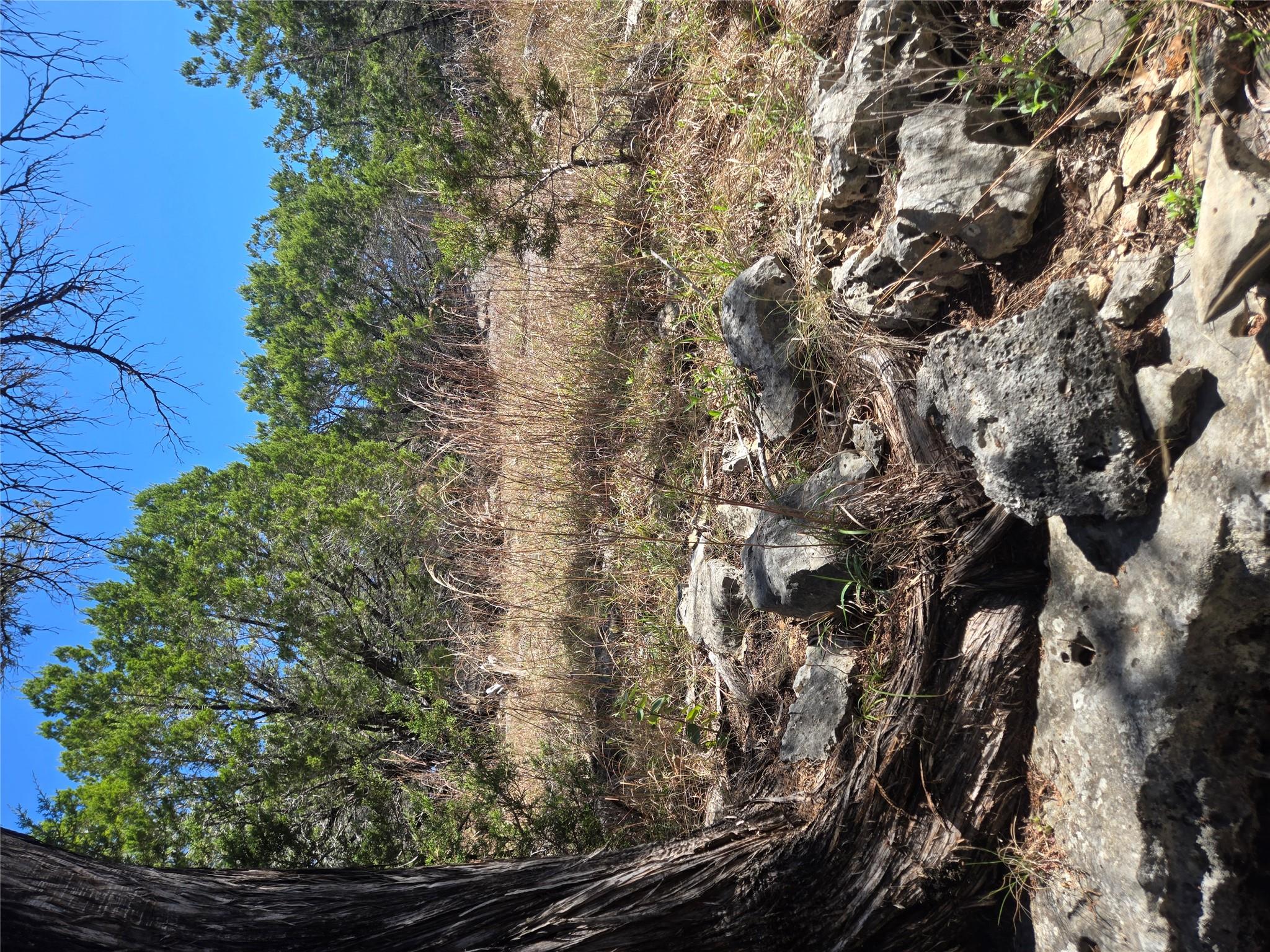 358 Balcones Ridgeway Way, Bertram, TX 78605