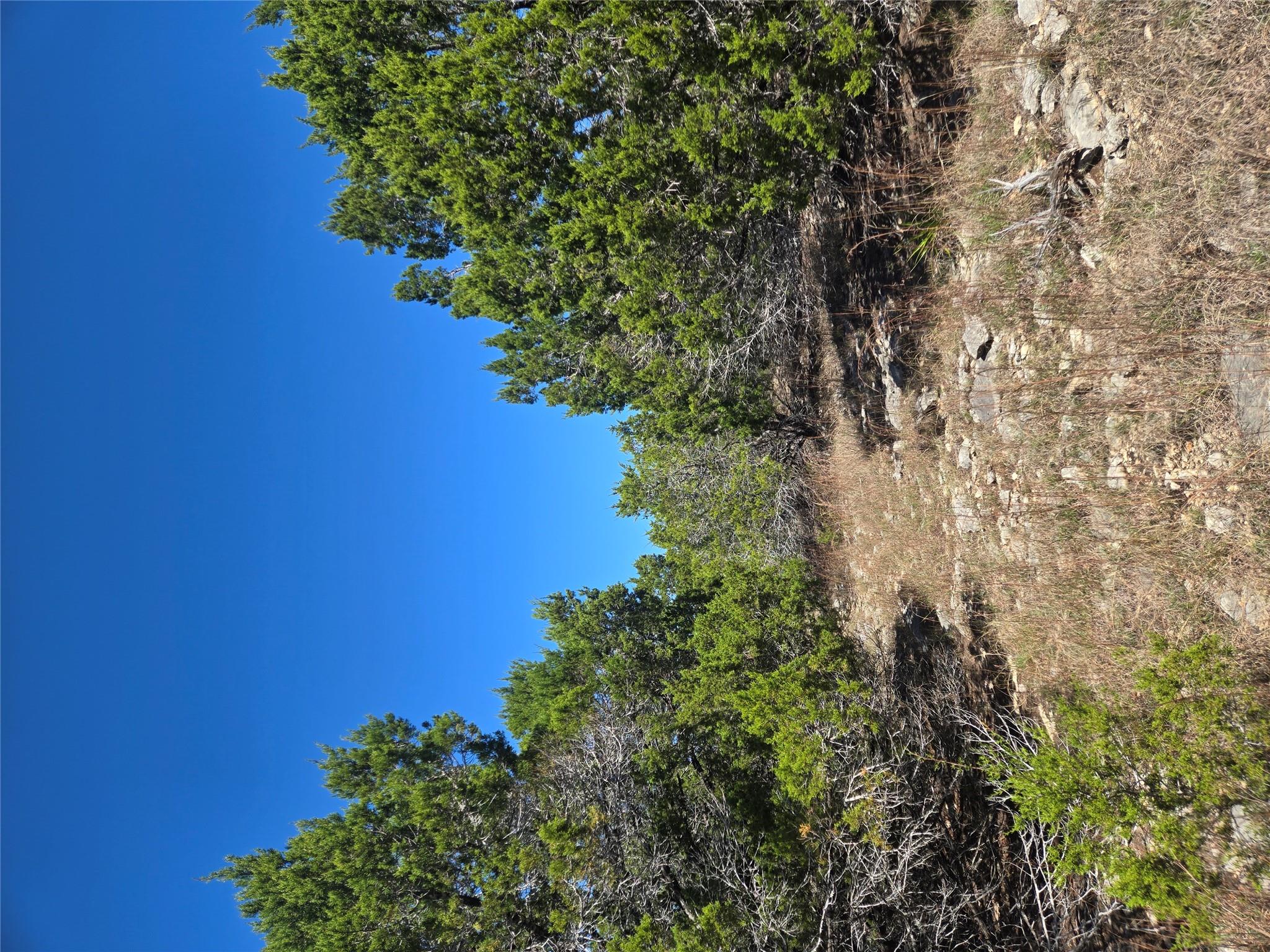 358 Balcones Ridgeway Way, Bertram, TX 78605