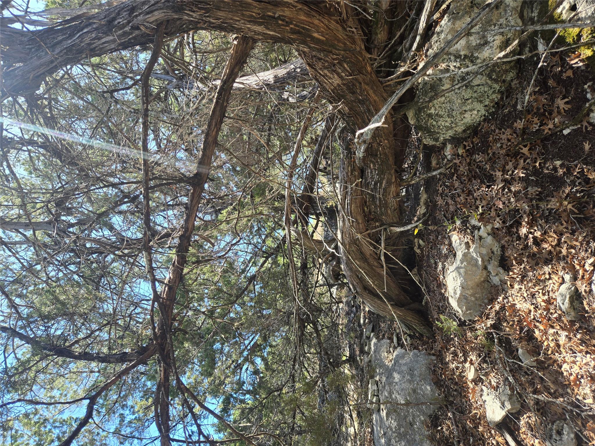 358 Balcones Ridgeway Way, Bertram, TX 78605