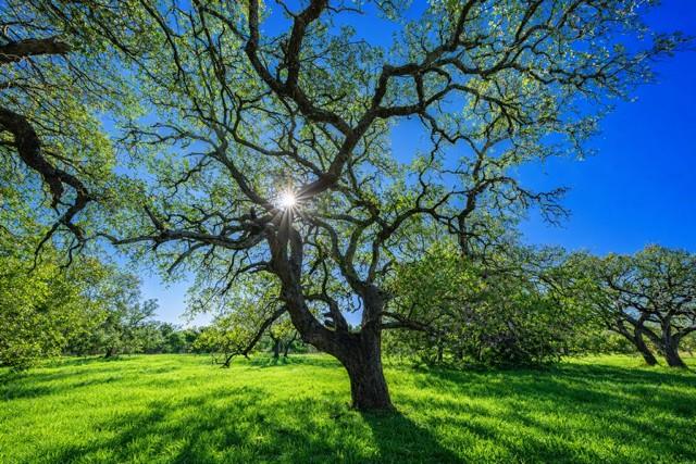 Tract 2 County Road 340, Burnet, TX 76905