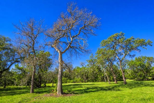 Tract 2 County Road 340, Burnet, TX 76905