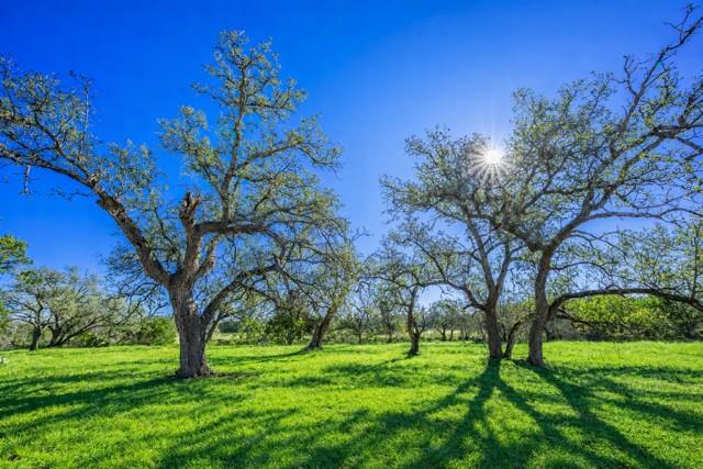 Tract 2 County Road 340, Burnet, TX 76905