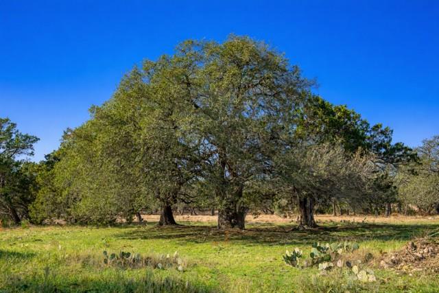 Tract 2 County Road 340, Burnet, TX 76905