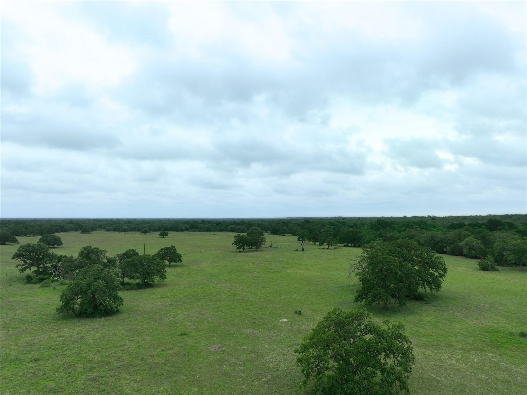 TBD Lot 4 County Road 127 Rd, Ledbetter, TX 78946