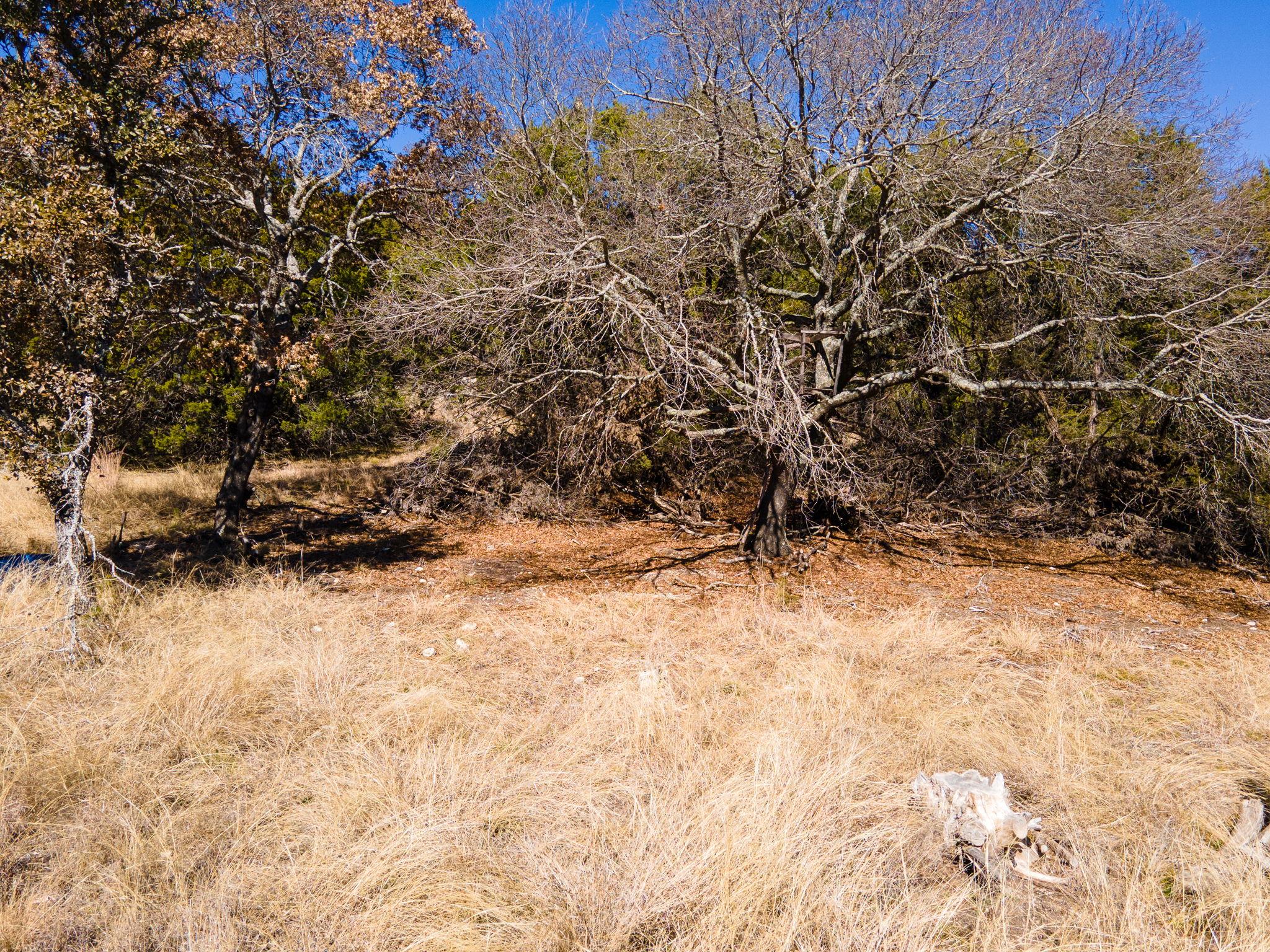 Lot #55 Blakely Rd, Gatesville, TX 76528