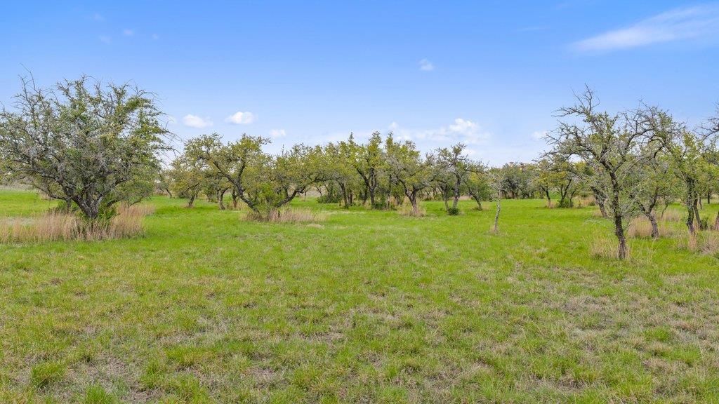 701 Dawn Vw, Dripping Springs, TX 78620