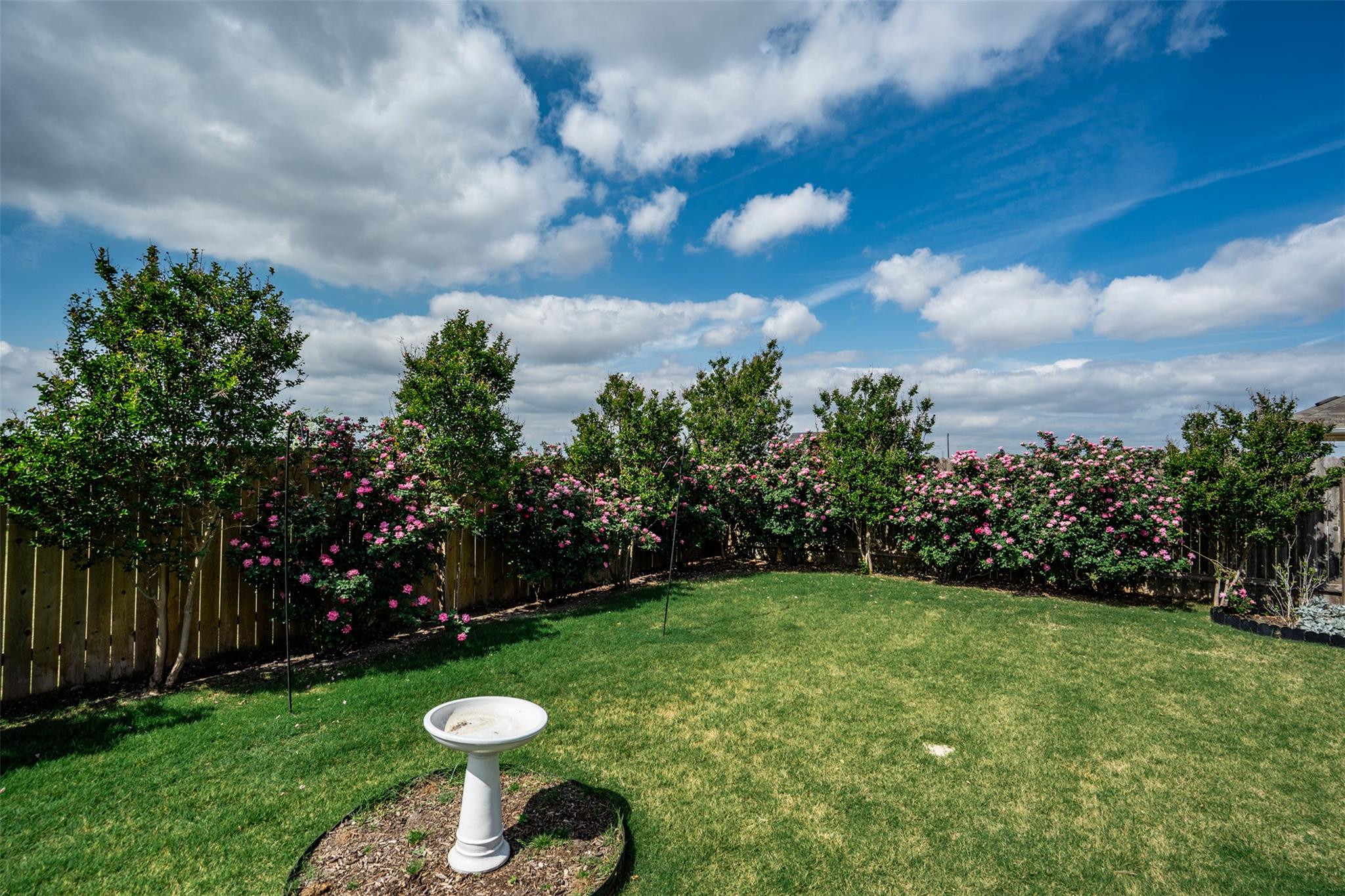 304 Hibiscus Dr, Hutto, TX 78634