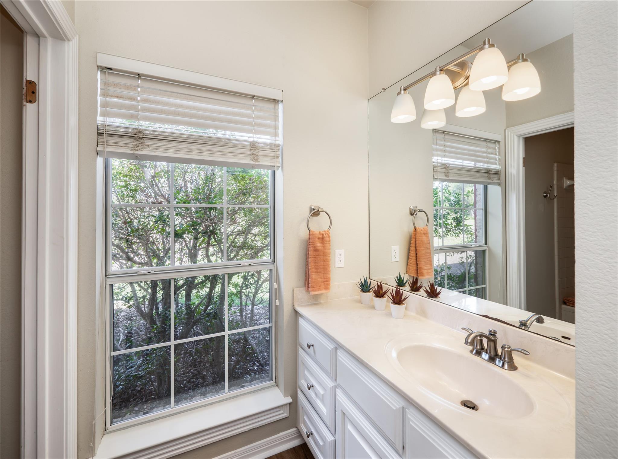 117 Vista Oaks Dr, Dripping Springs, TX 78620