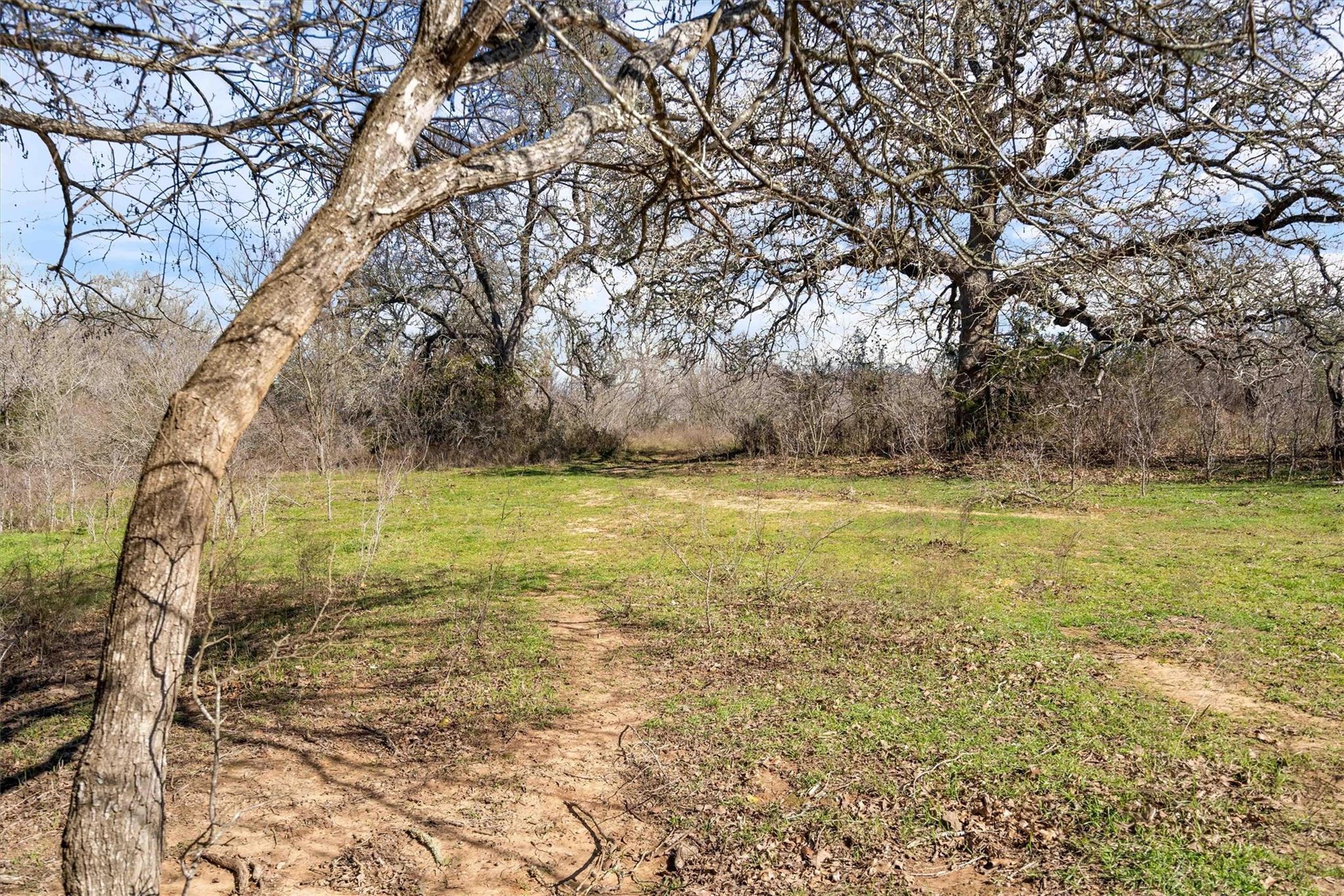 1540 N State Highway 95 Highway, Bastrop, TX 78602