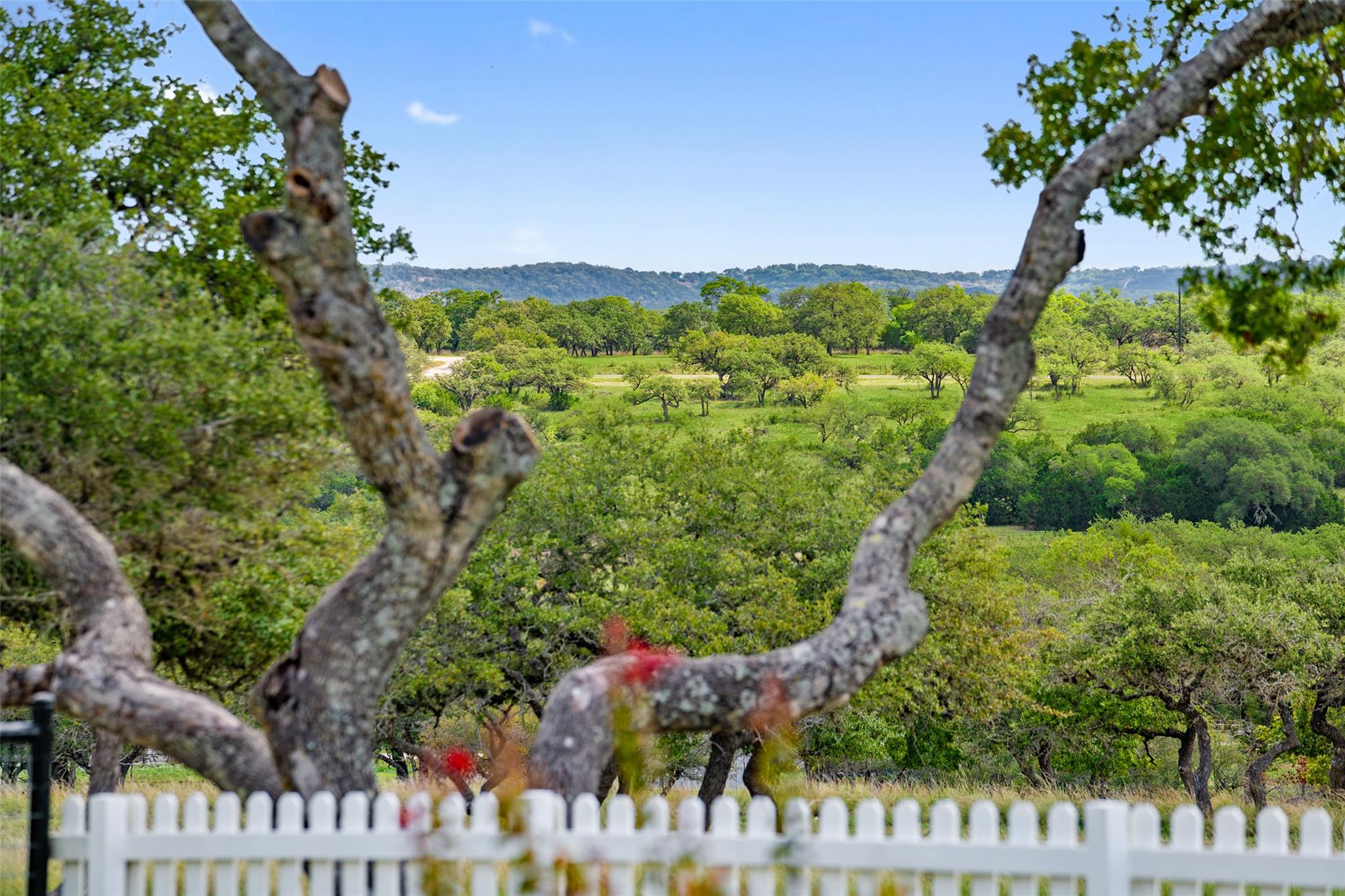 2454 McKinney Loop, Blanco, TX 78606