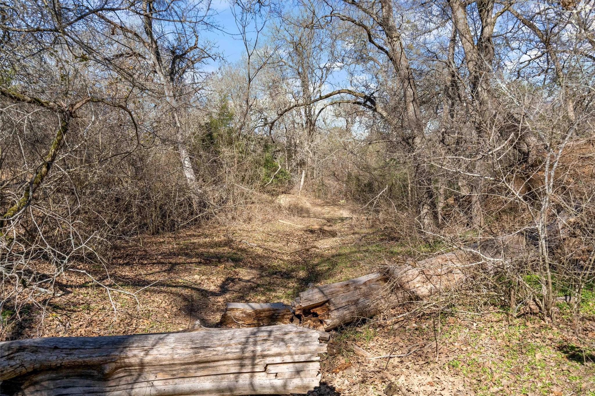 1540 N State Highway 95 Highway, Bastrop, TX 78602