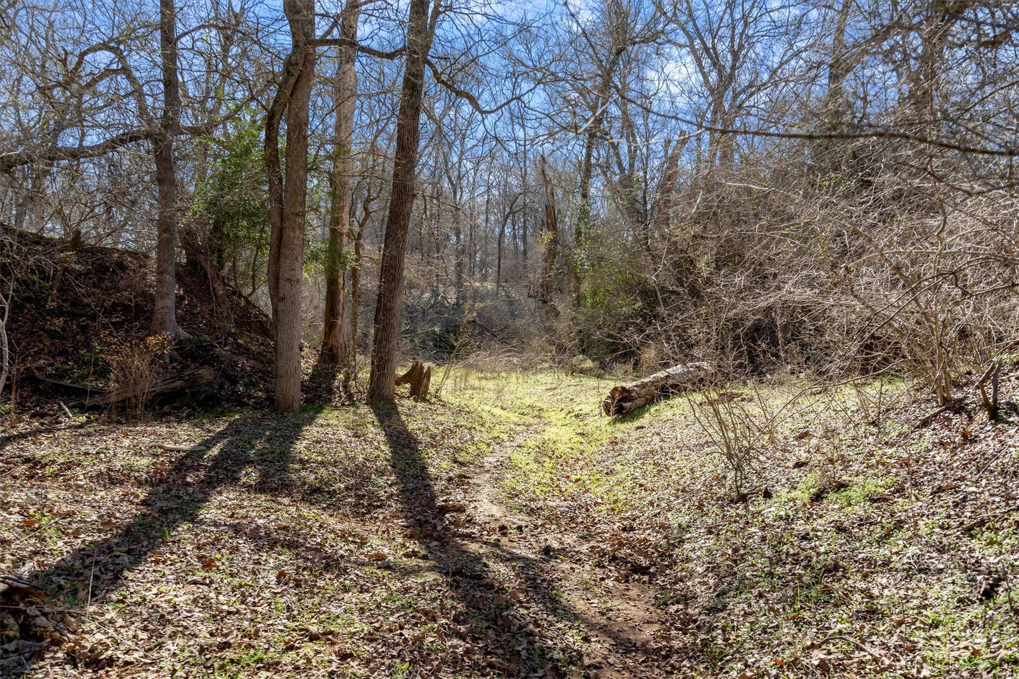 1540 N State Highway 95 Highway, Bastrop, TX 78602