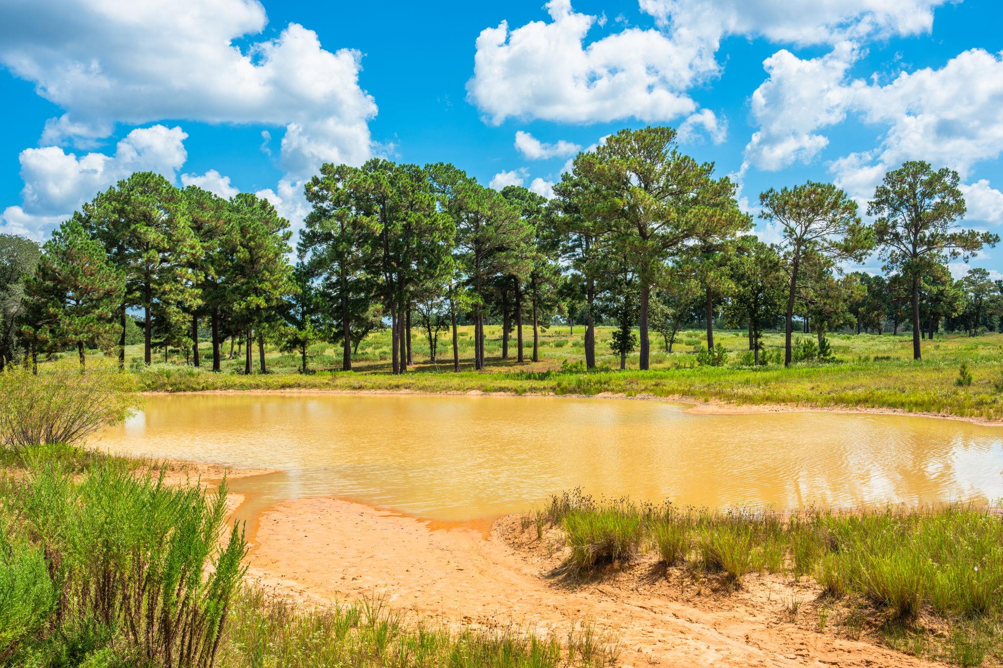 212 Meuth Cemetery Rd, Red Rock, TX 78662