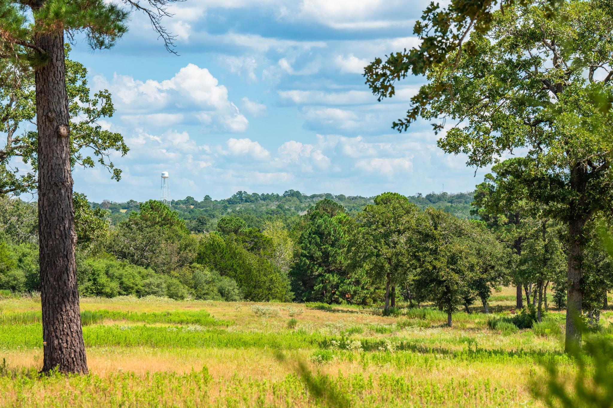 212 Meuth Cemetery Rd, Red Rock, TX 78662