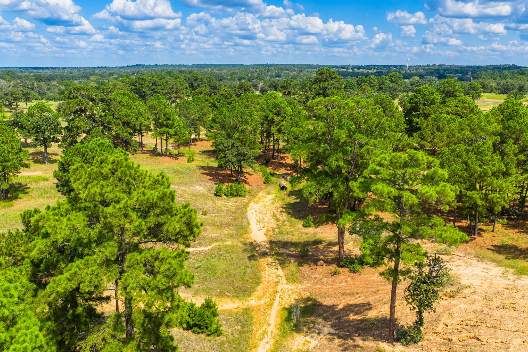 212 Meuth Cemetery Rd, Red Rock, TX 78662