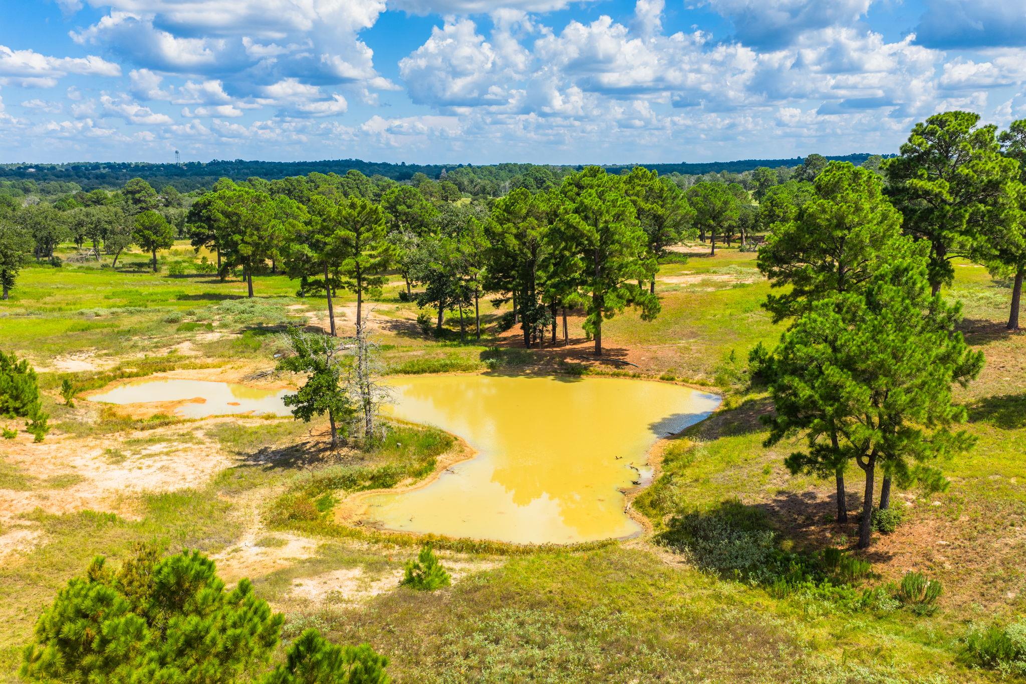 212 Meuth Cemetery Rd, Red Rock, TX 78662