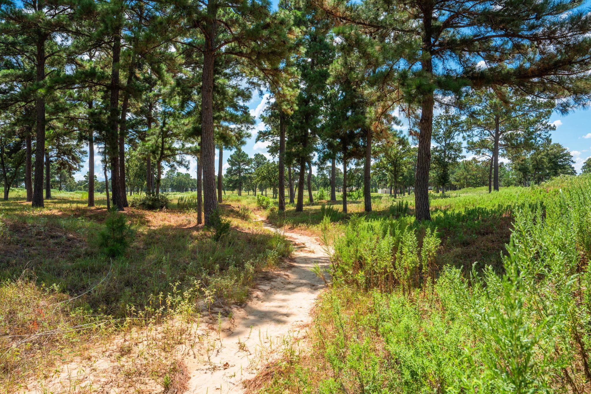 212 Meuth Cemetery Rd, Red Rock, TX 78662