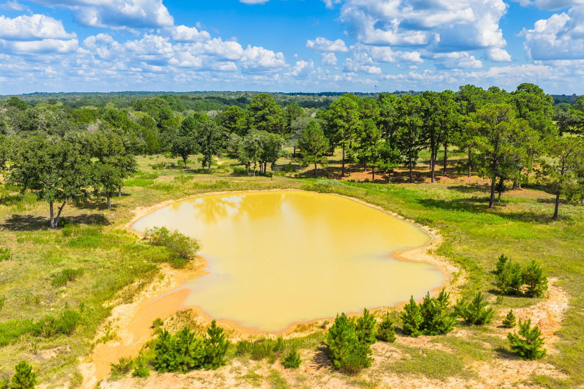 212 Meuth Cemetery Rd, Red Rock, TX 78662