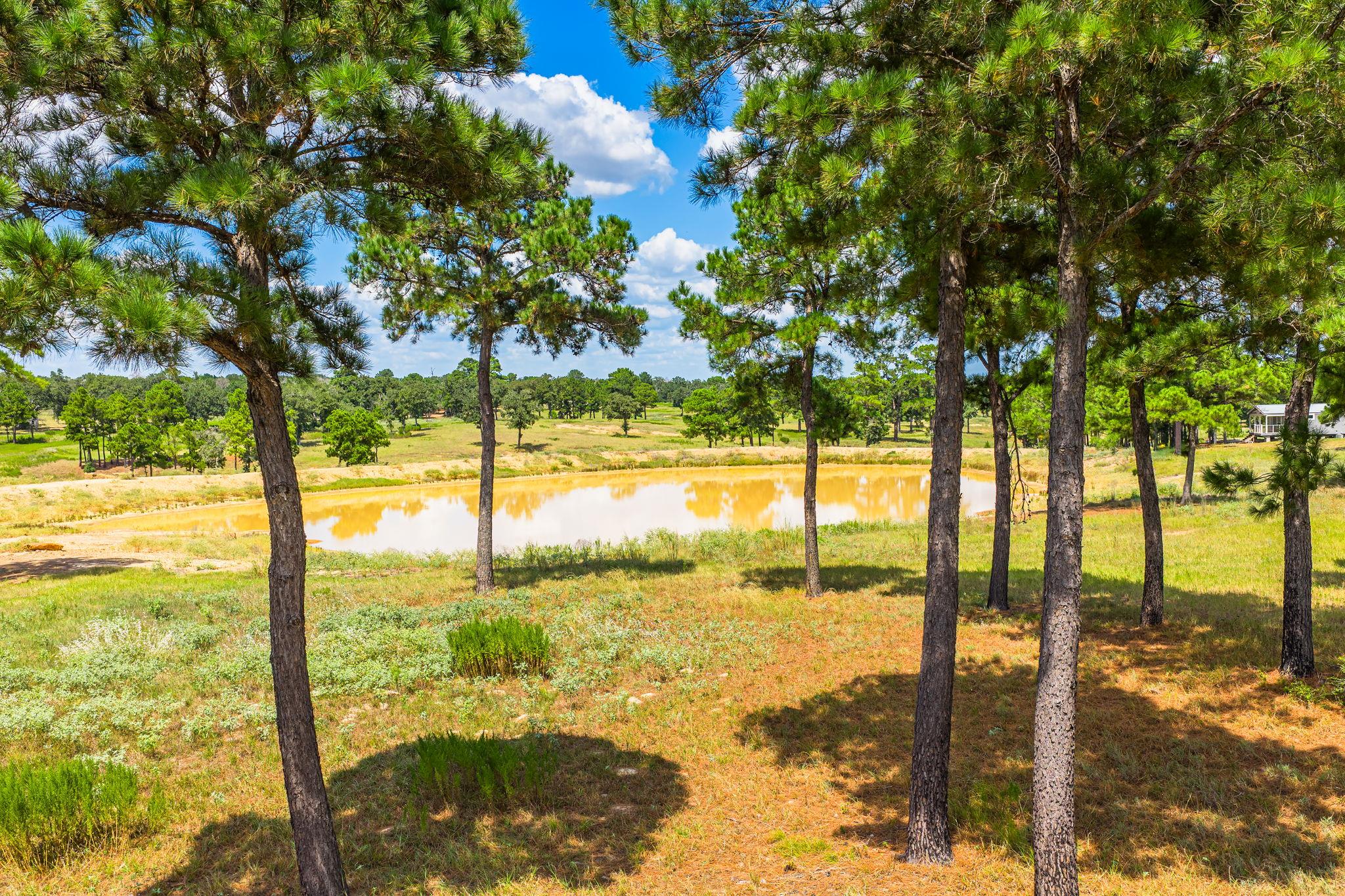 212 Meuth Cemetery Rd, Red Rock, TX 78662