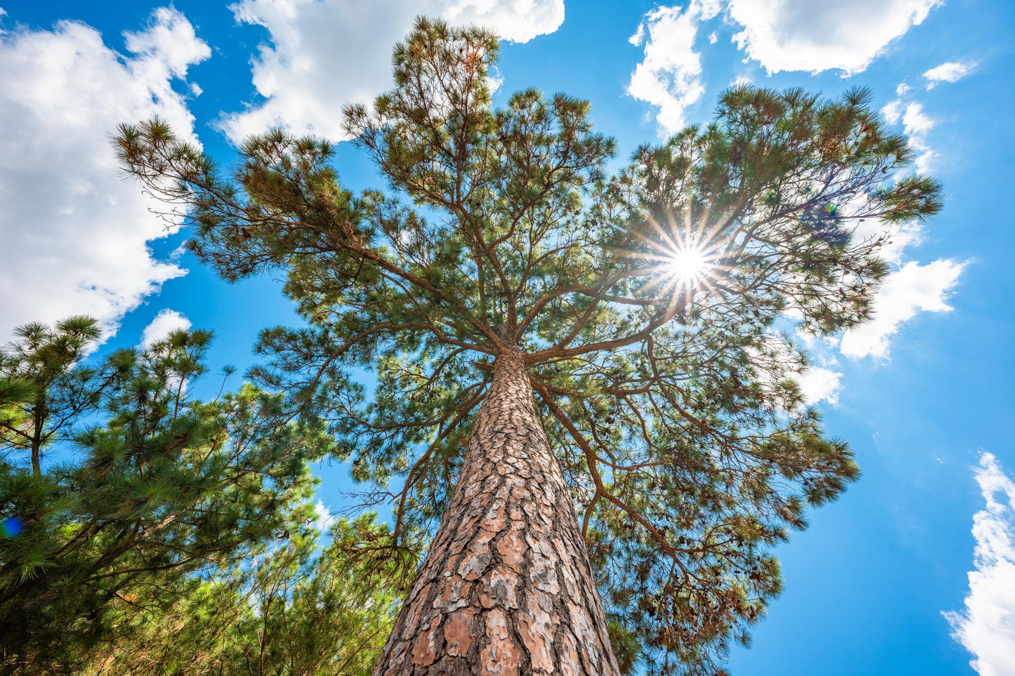 212 Meuth Cemetery Rd, Red Rock, TX 78662