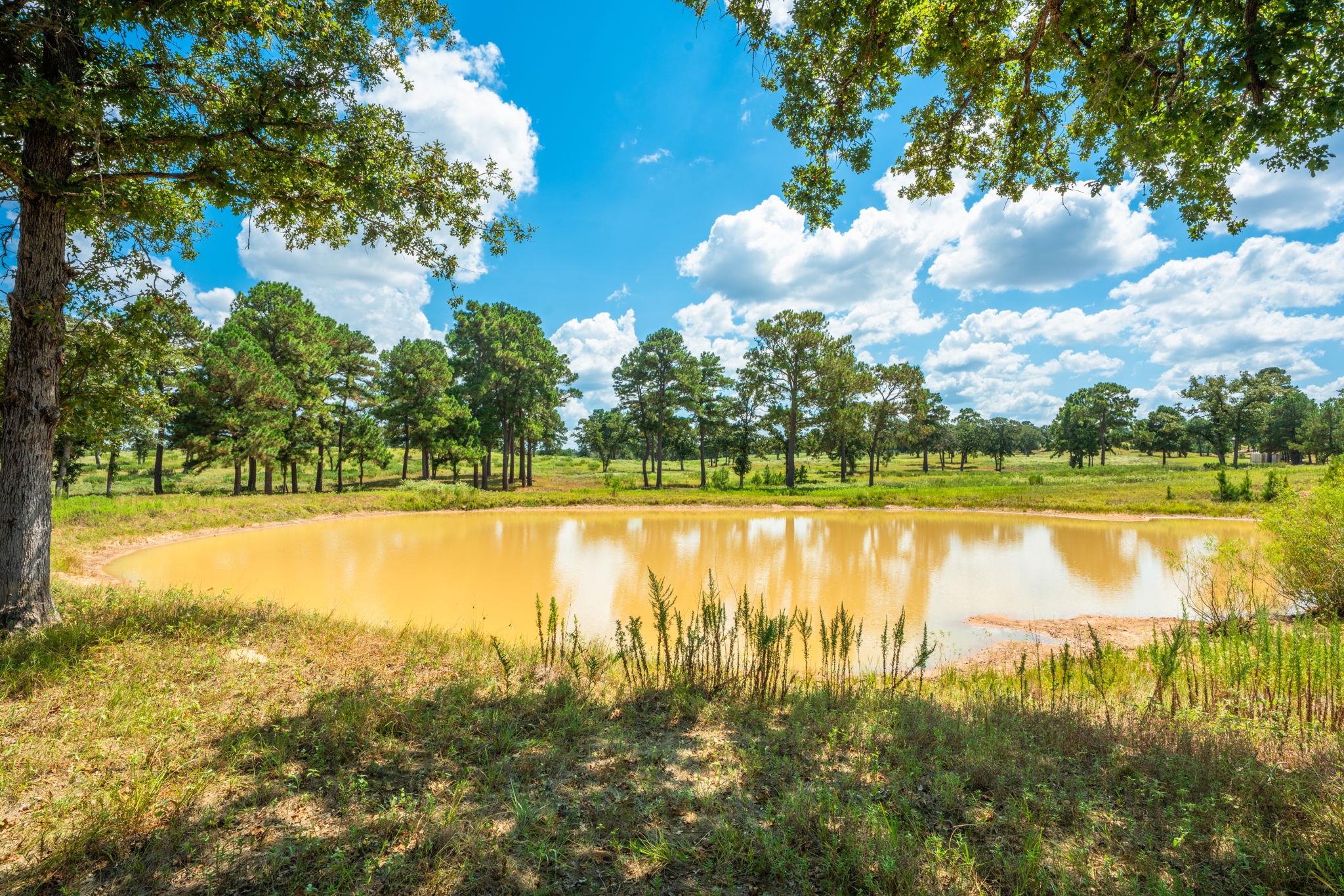 212 Meuth Cemetery Rd, Red Rock, TX 78662