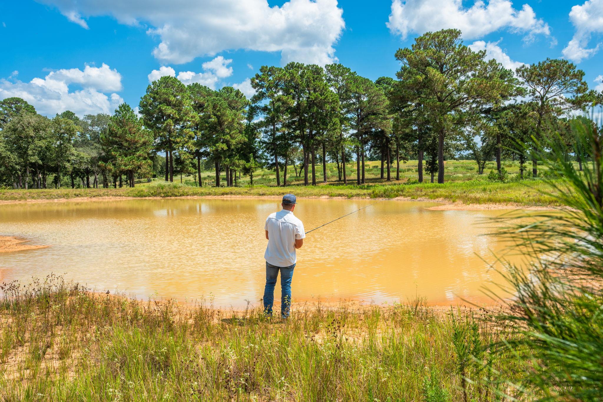 212 Meuth Cemetery Rd, Red Rock, TX 78662