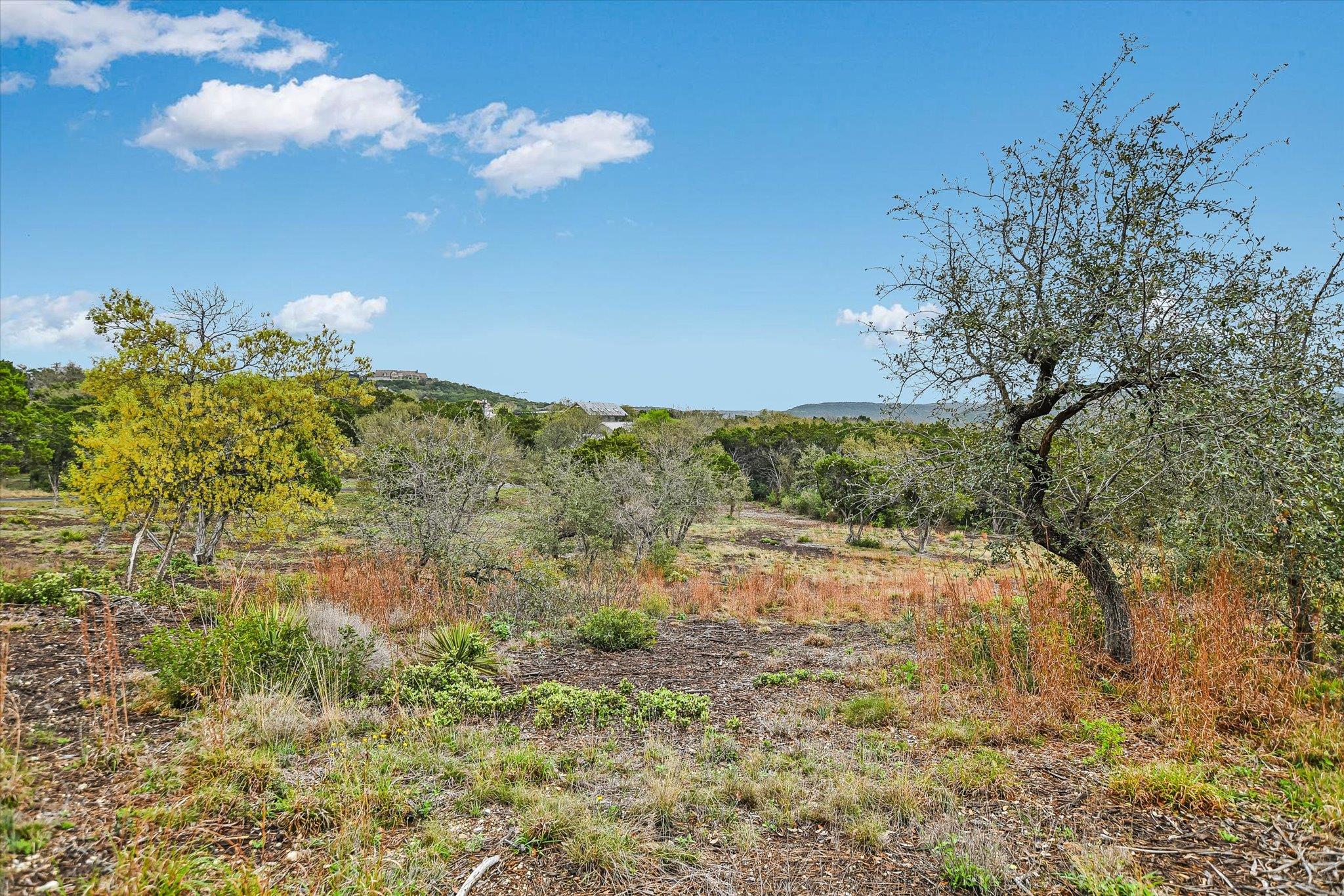 0 Deer Run Rd, Leander, TX 78641