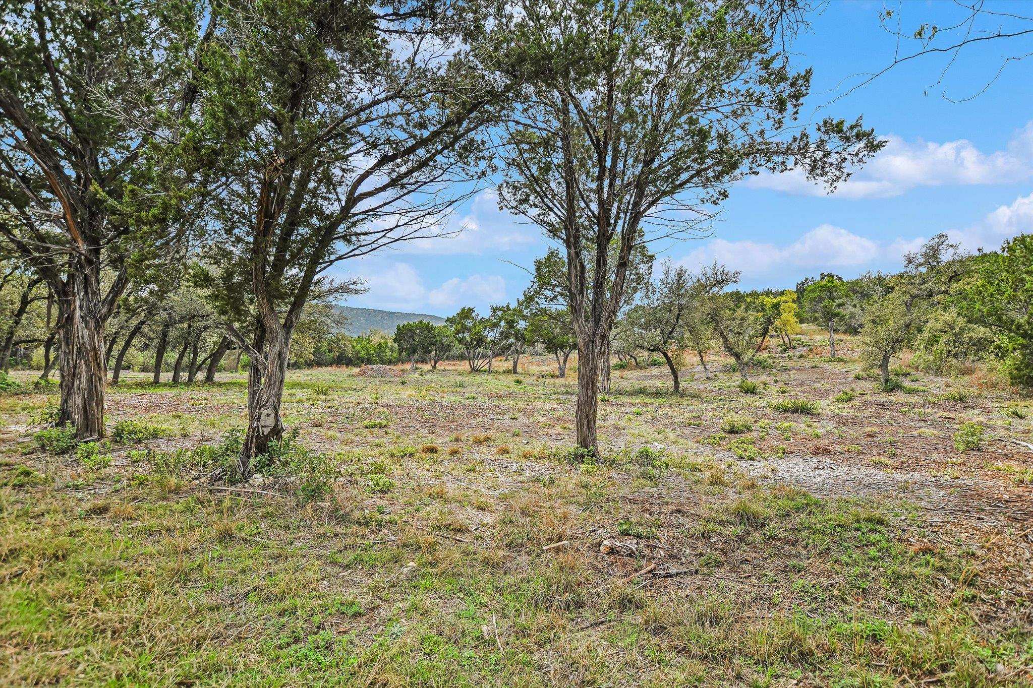 0 Deer Run Rd, Leander, TX 78641