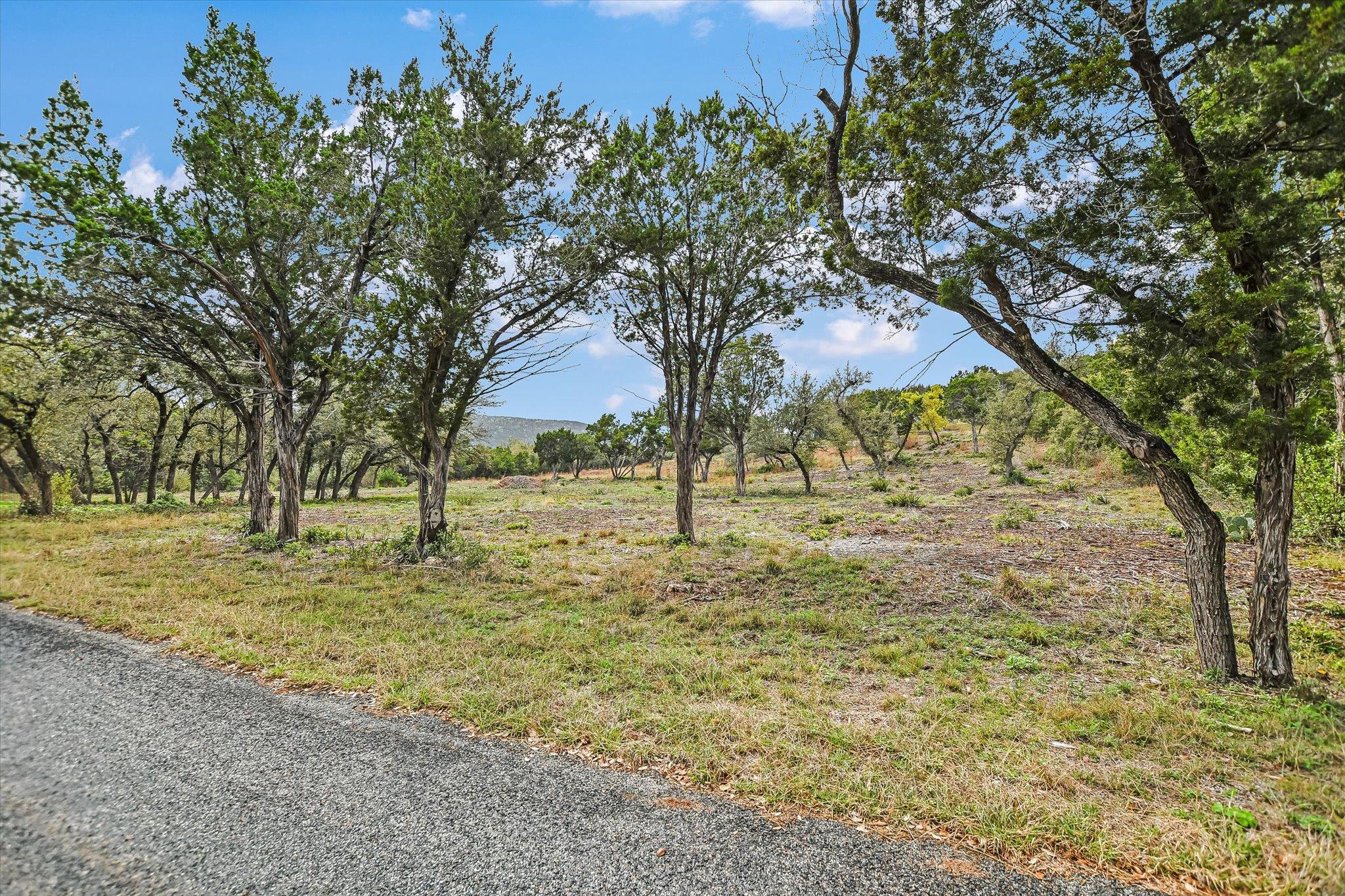 0 Deer Run Rd, Leander, TX 78641