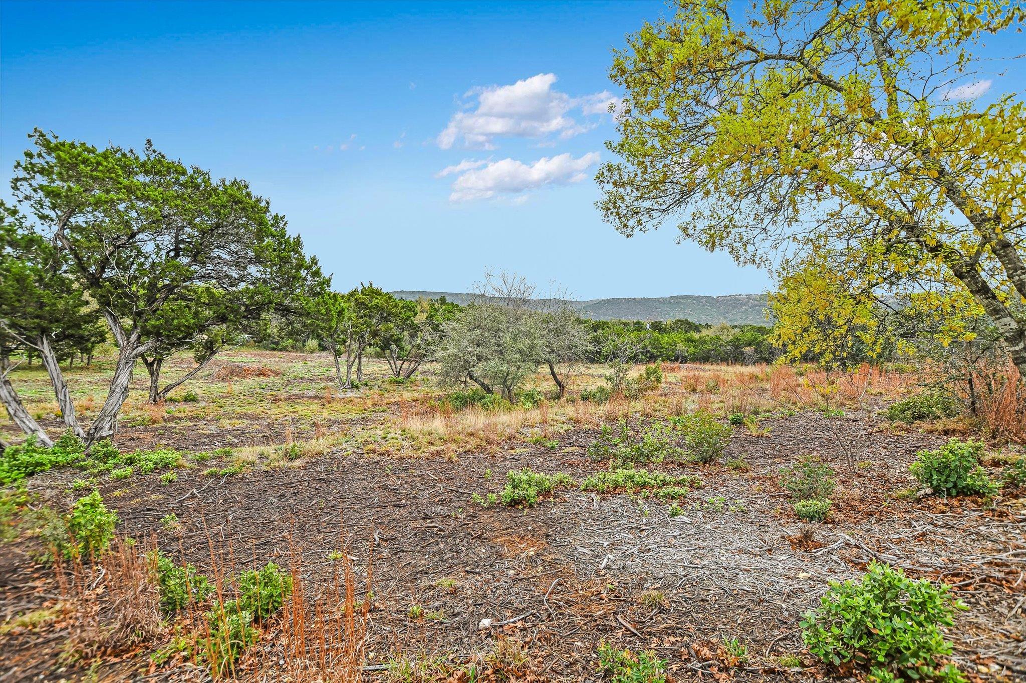 0 Deer Run Rd, Leander, TX 78641