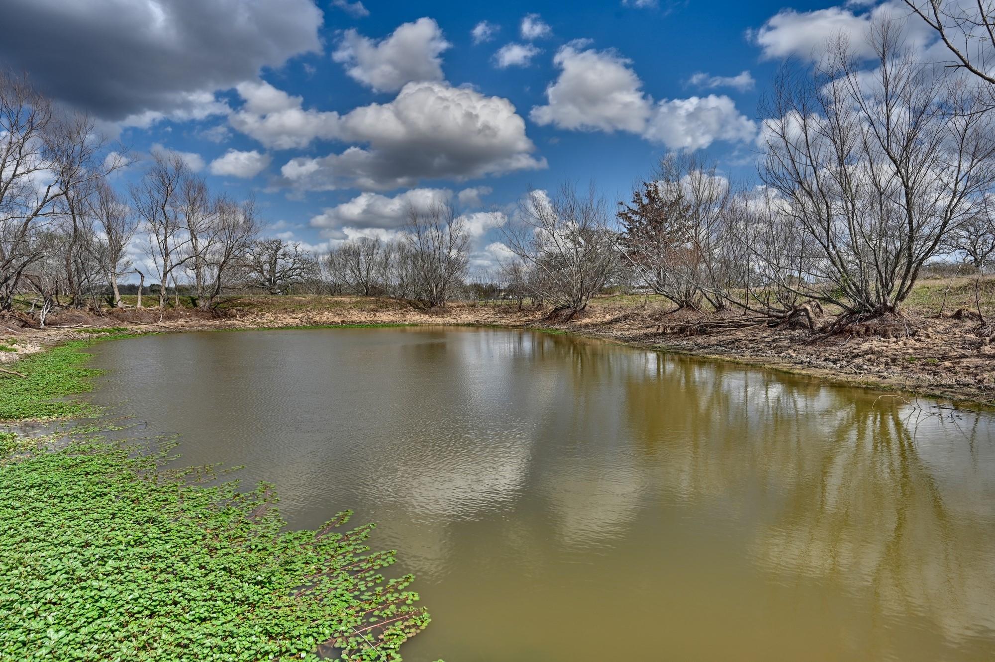 TBD FM 2440, Giddings, TX 78942